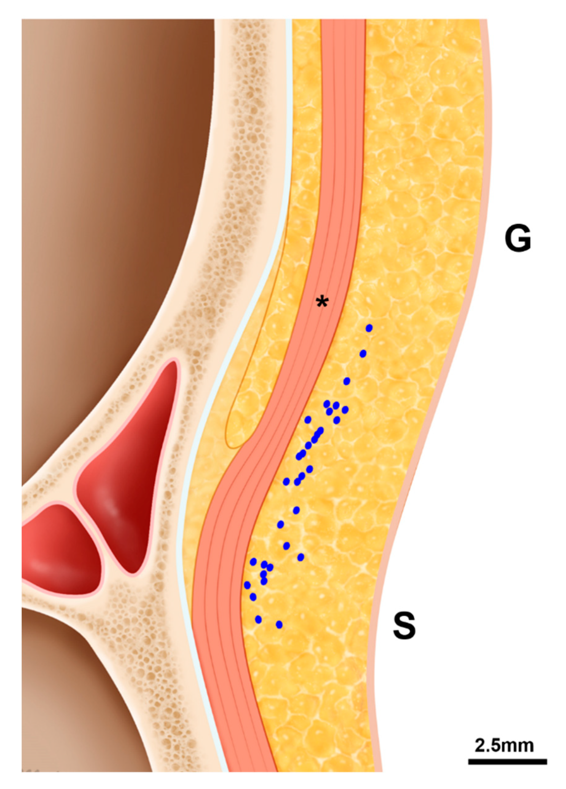 Toxins 11 00560 g003