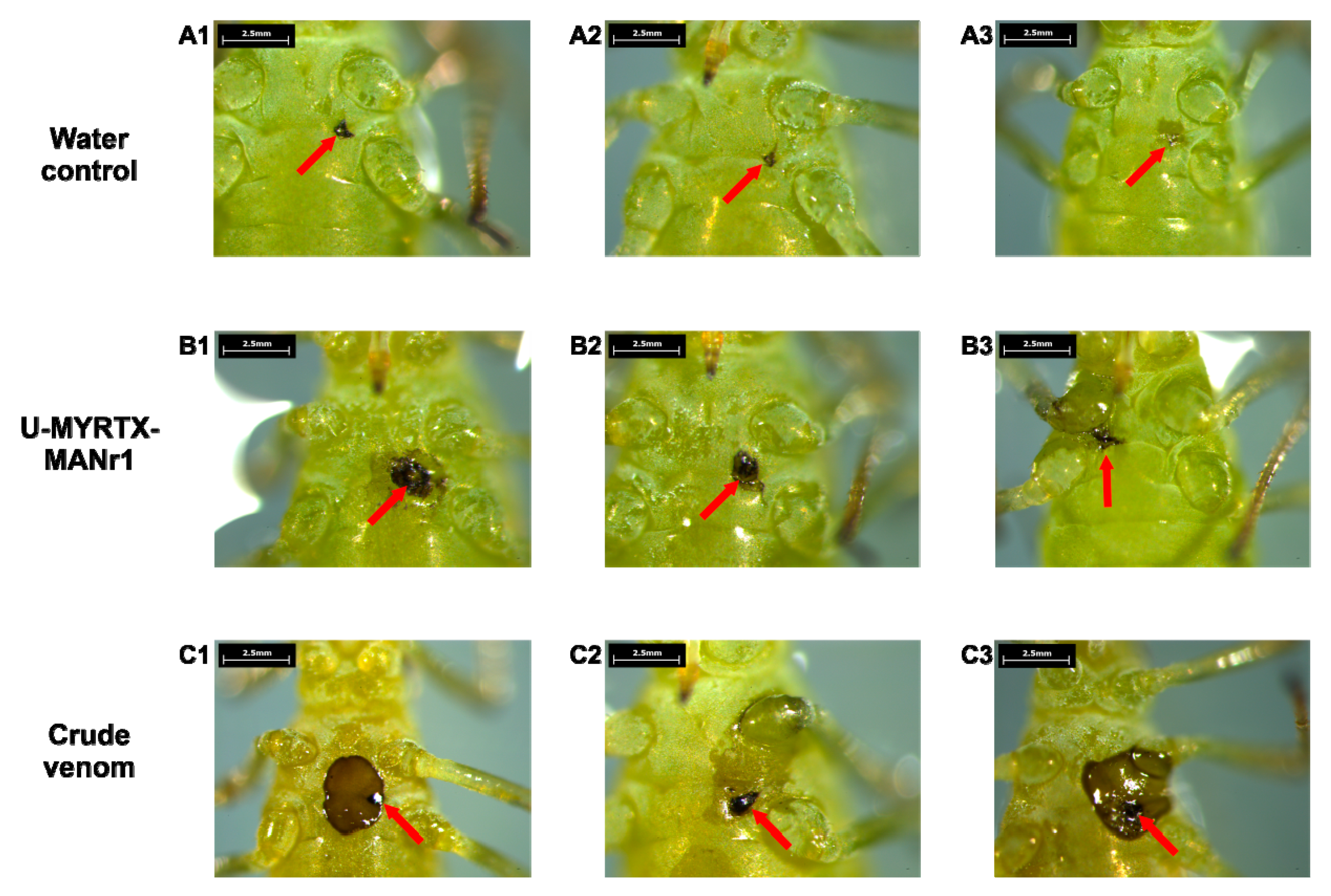 Toxins 11 00562 g003