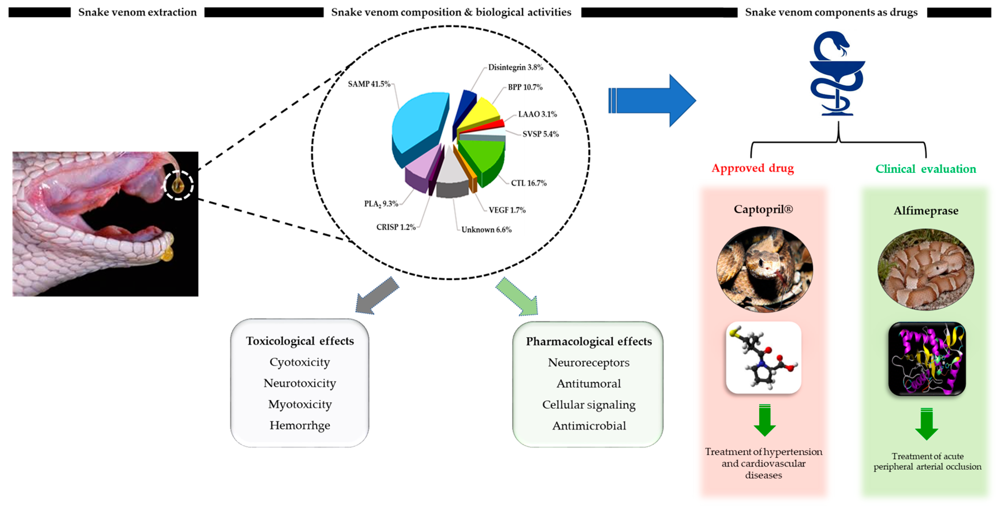 Comparative analysis of intestinal bacteria among venom secretion and  non-secrection snakes