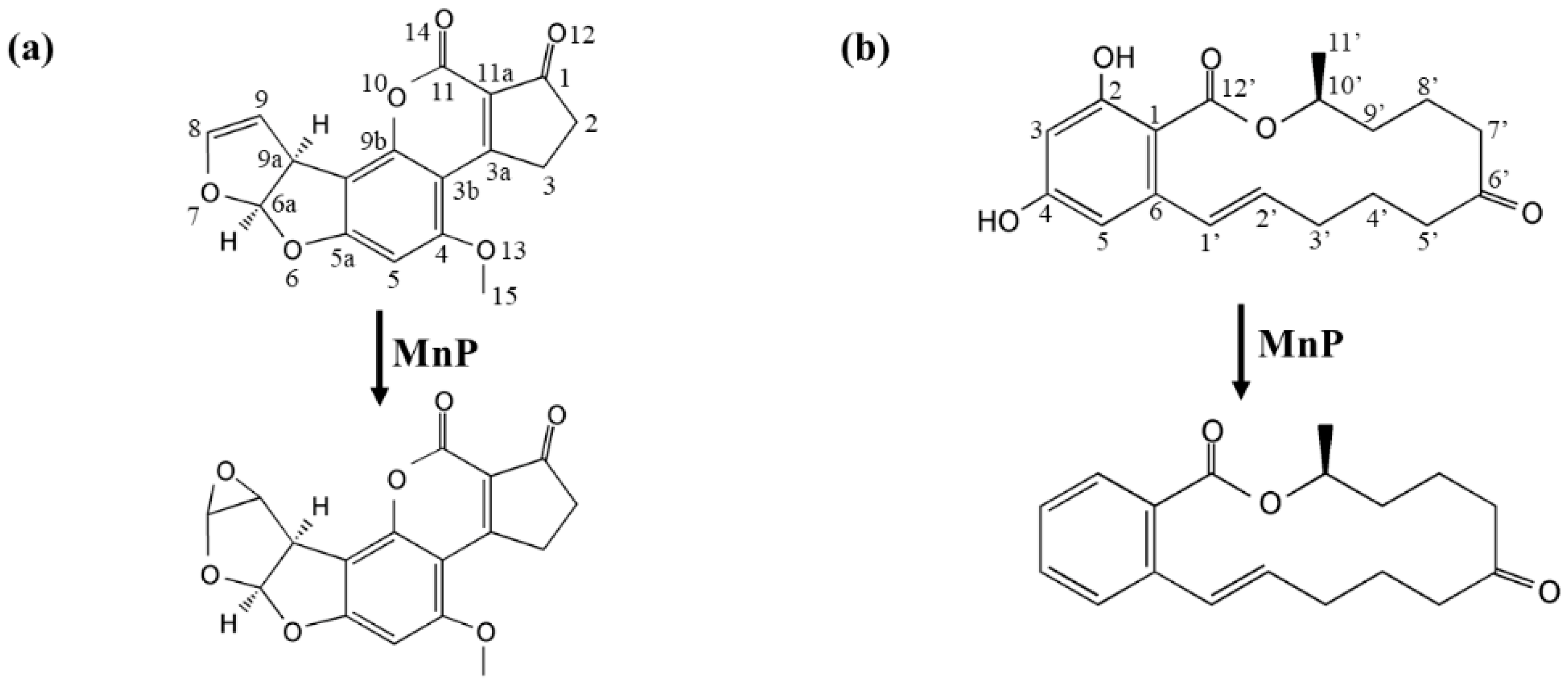 Toxins 11 00566 g003