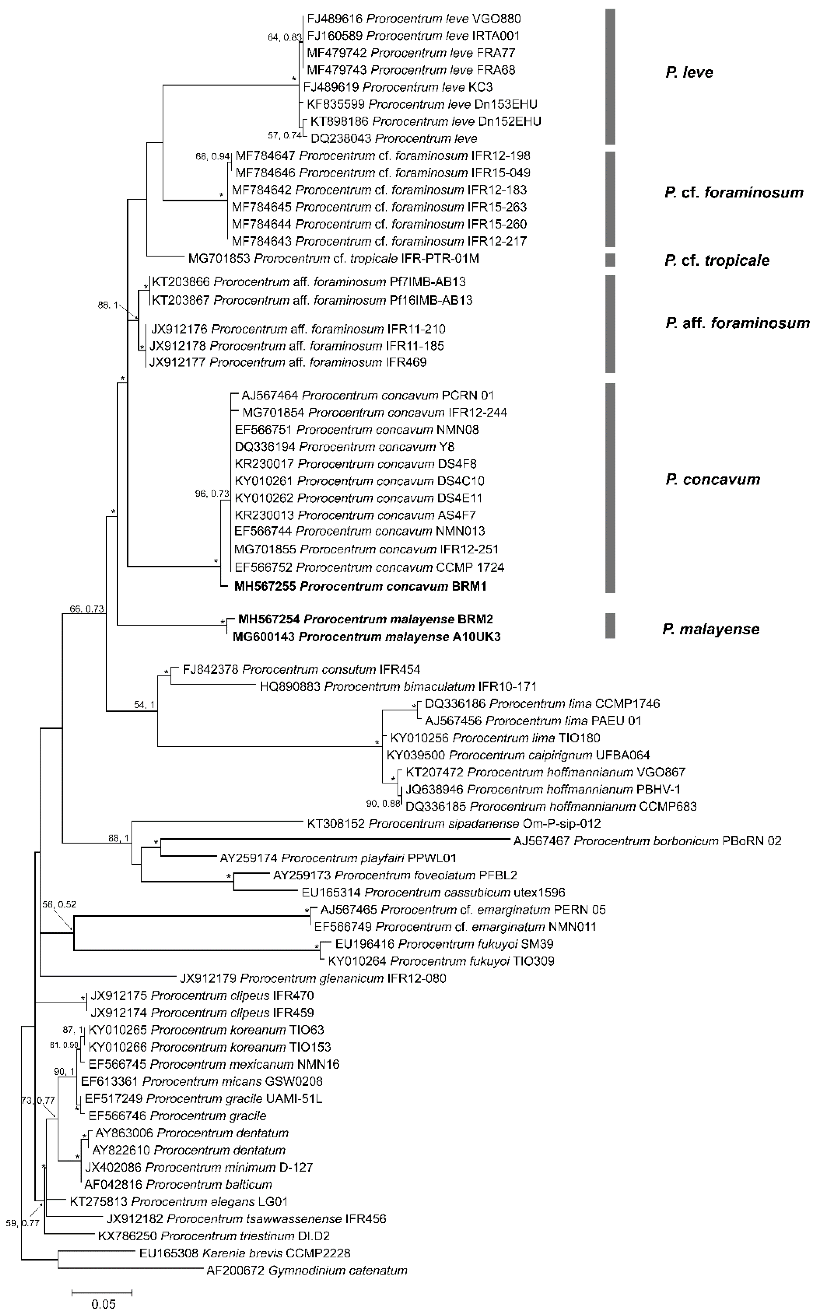 Toxins 11 00571 g007