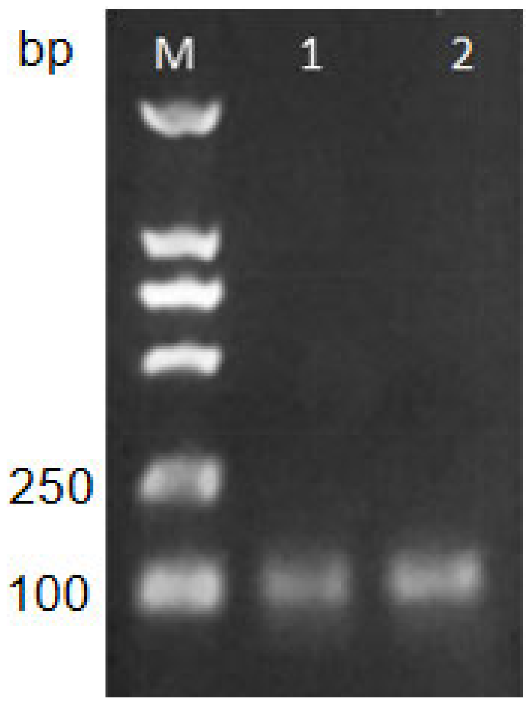Toxins 11 00572 g001