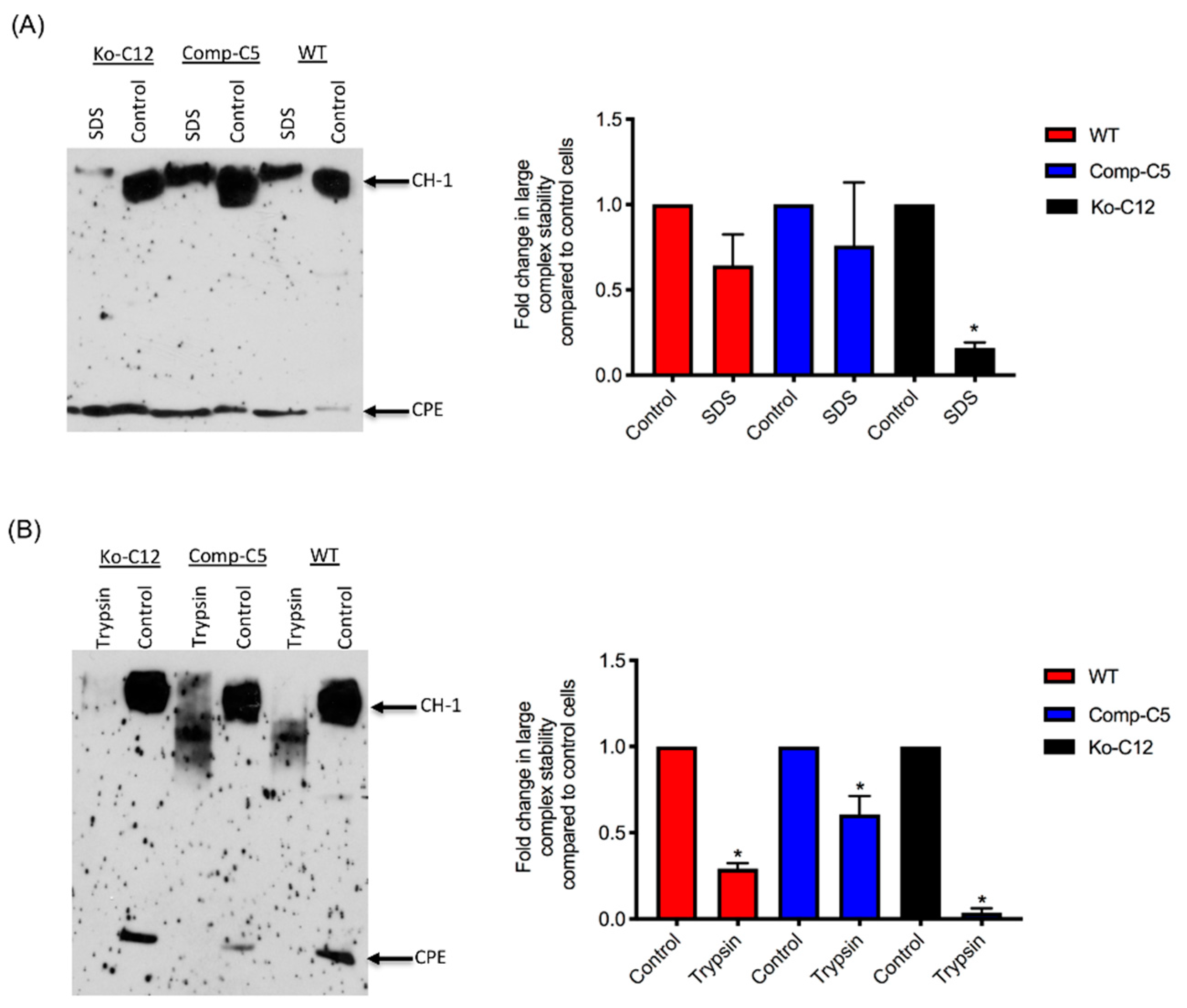 Toxins 11 00582 g008