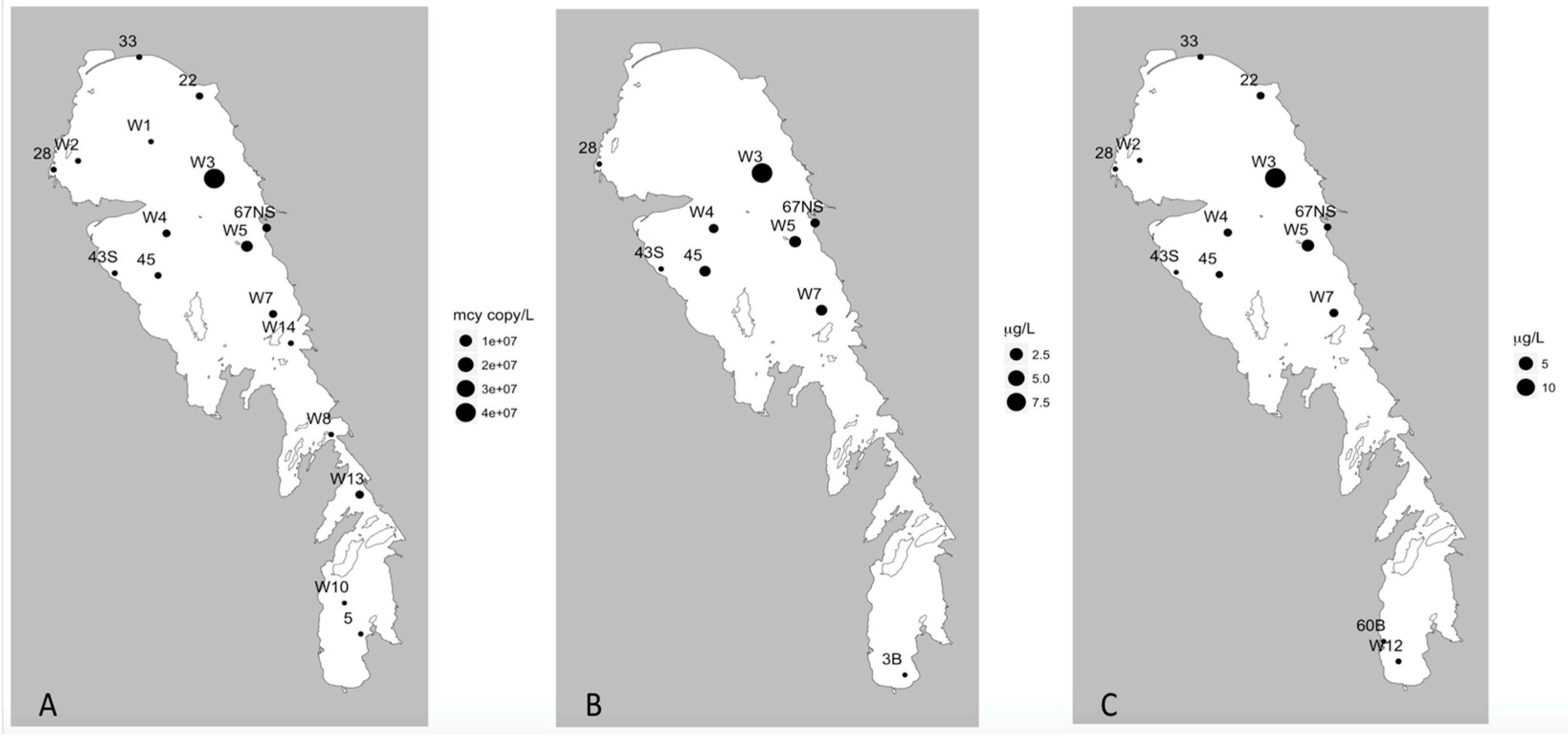 Toxins 11 00587 g004
