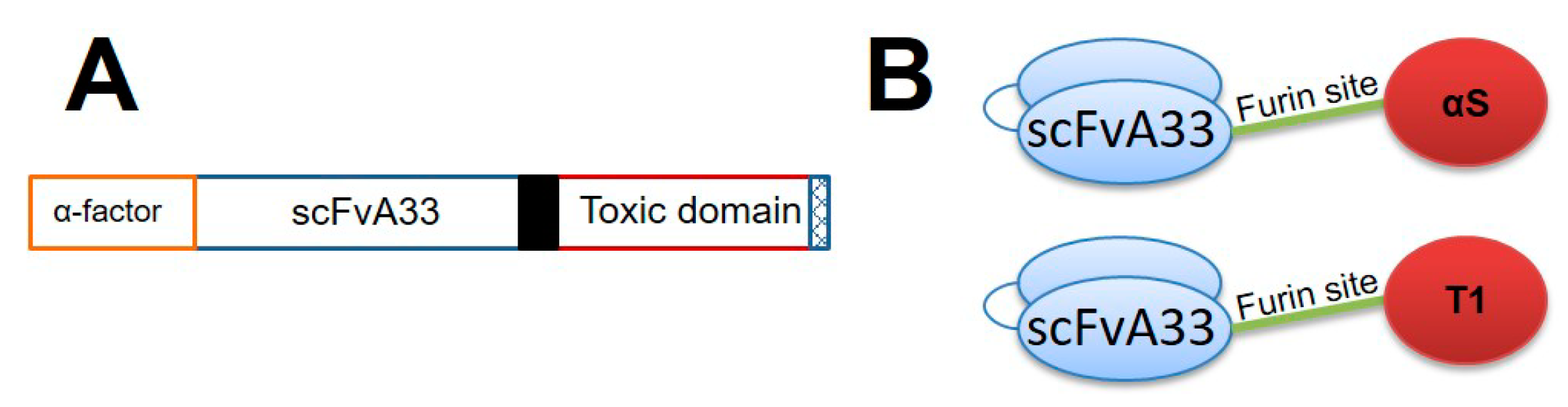 Toxins 11 00593 g002 Toxins 11 00593 g002