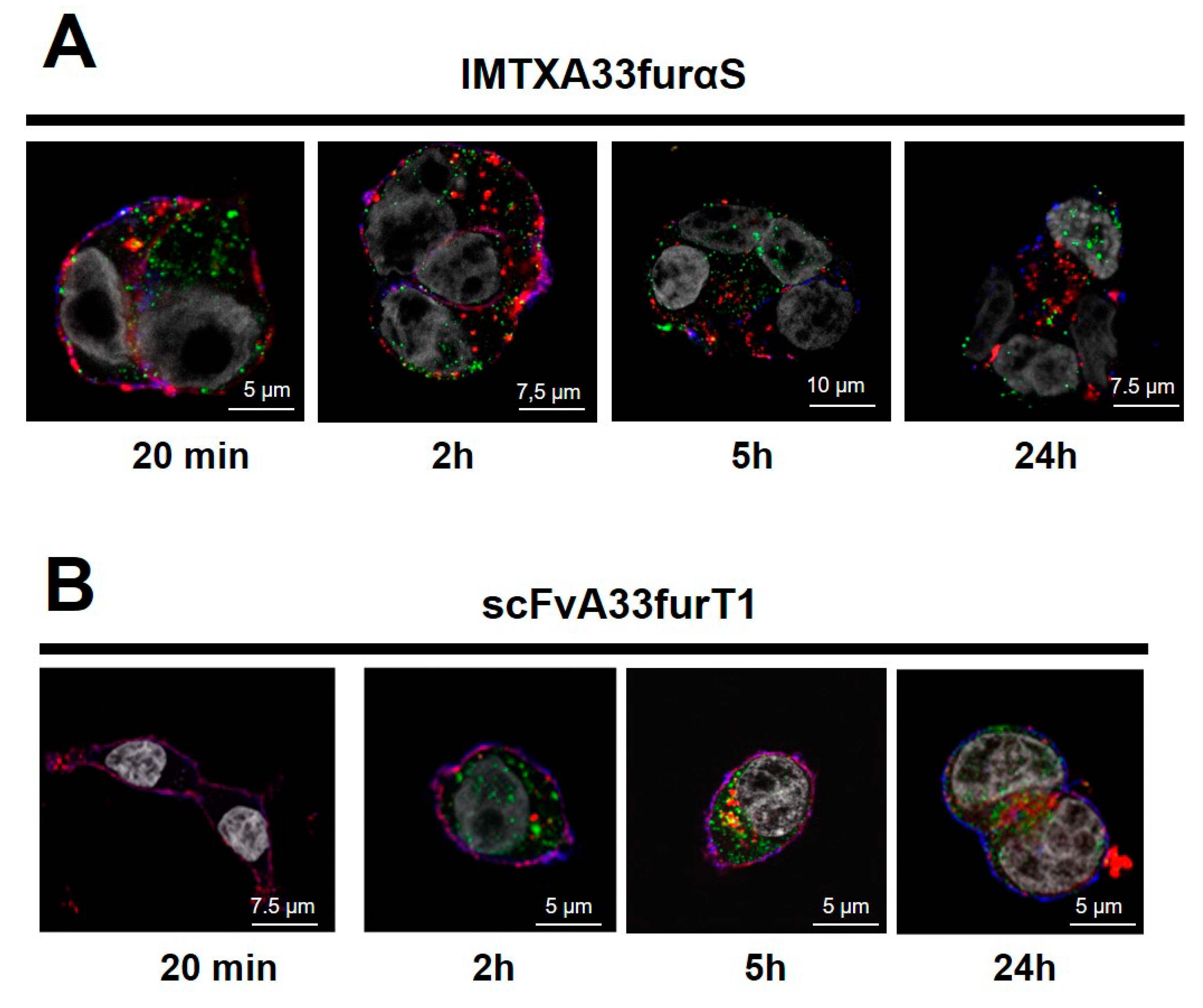 Toxins 11 00593 g006 Toxins 11 00593 g006