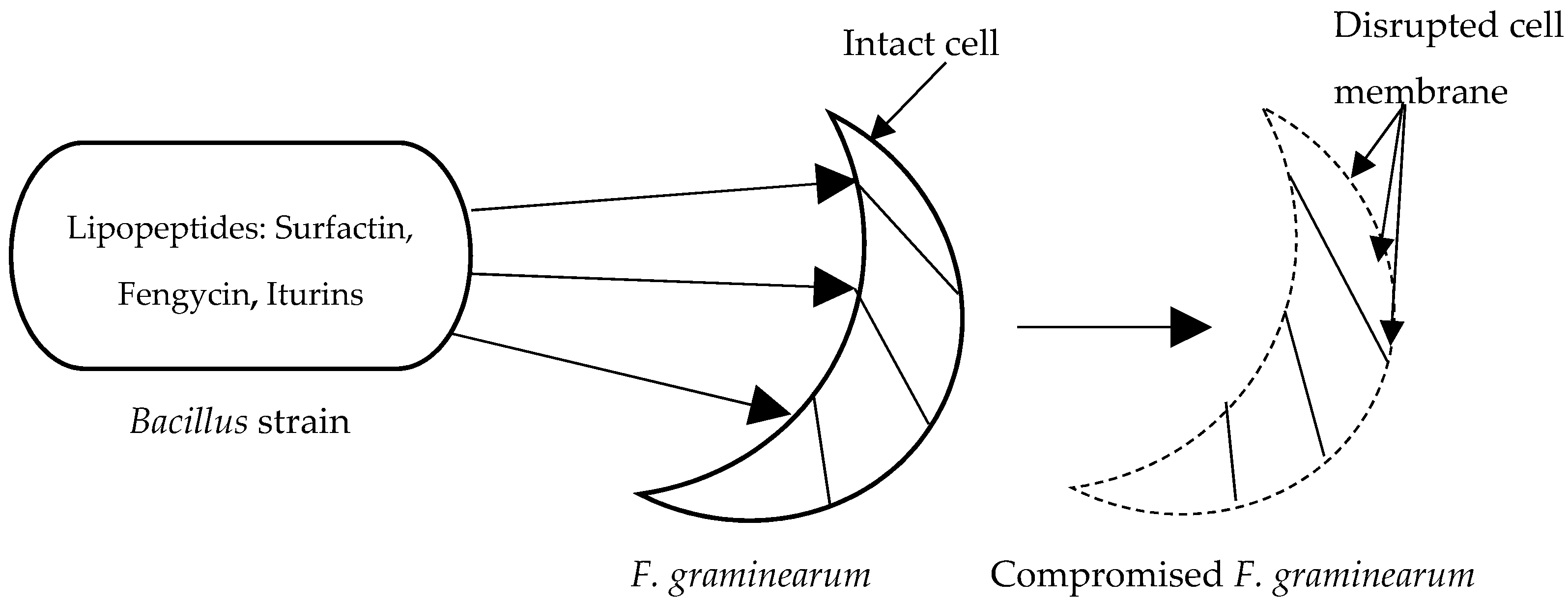 Toxins 11 00606 g003