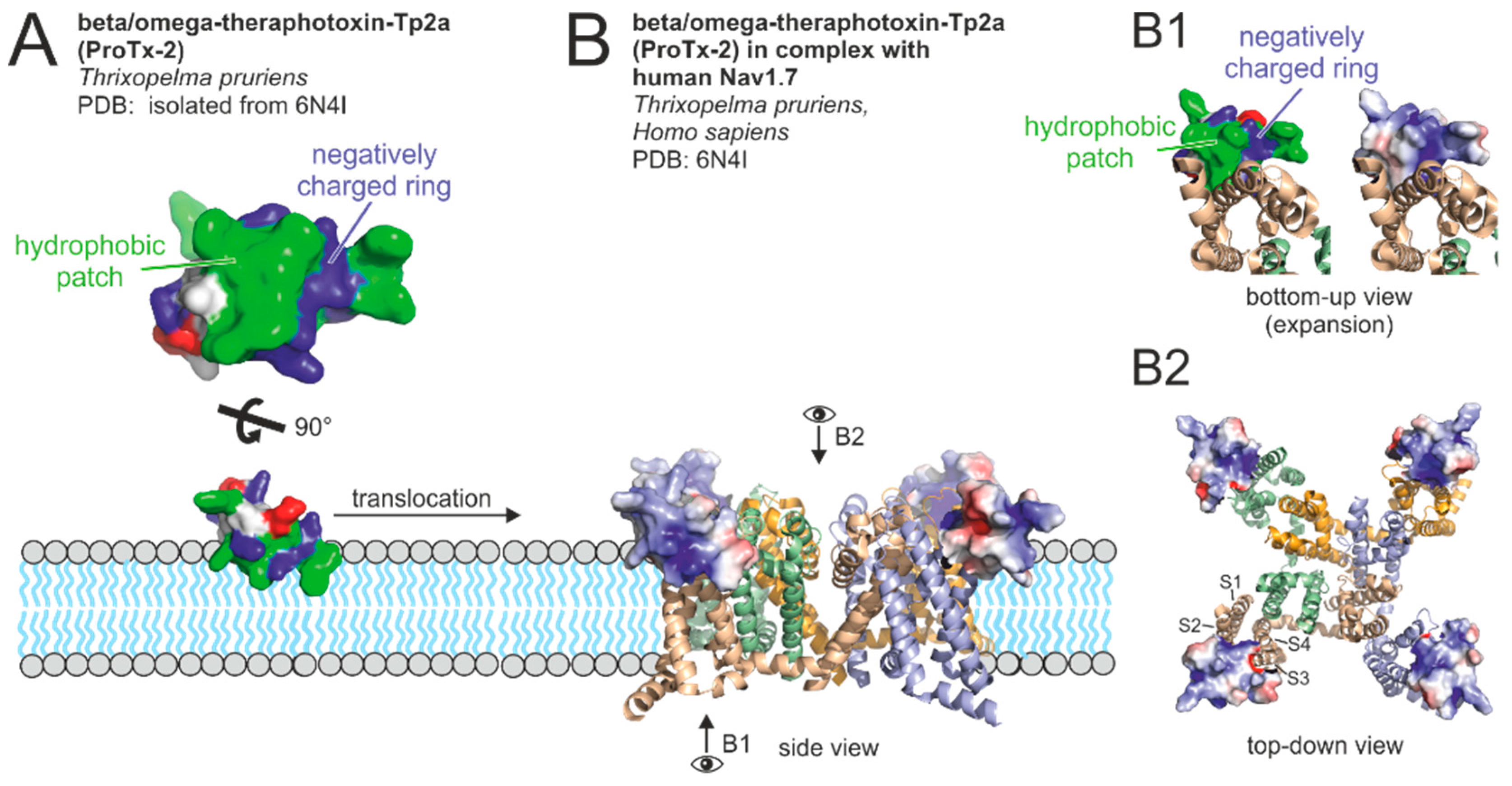 Toxins | Free Full-Text | Spider Venom: Components, Modes of Action, and  Novel Strategies in Transcriptomic and Proteomic Analyses