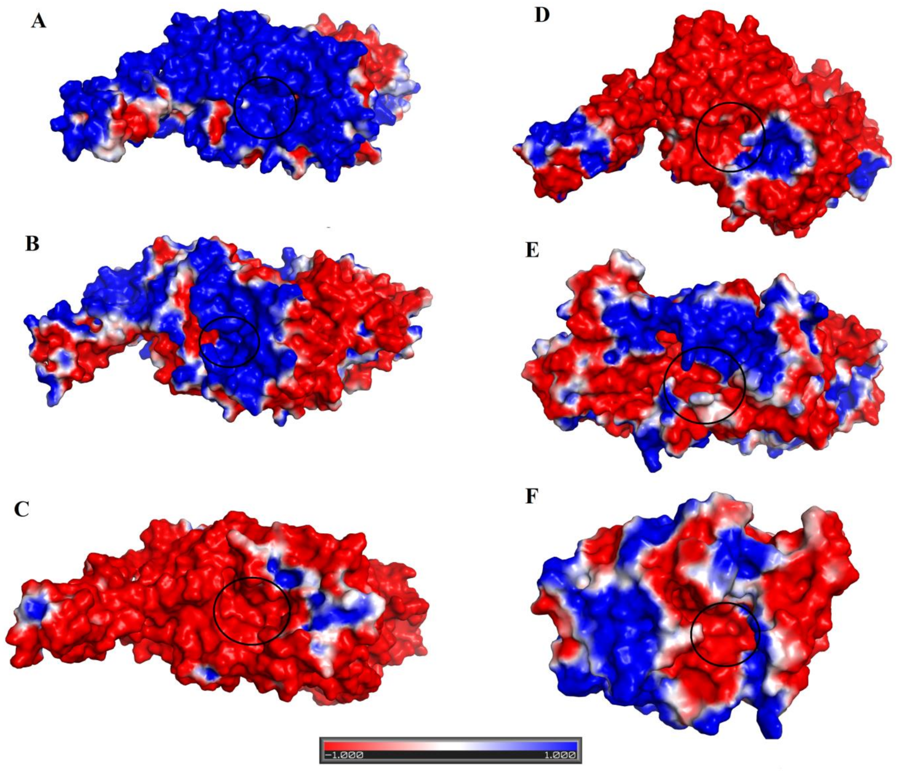 Toxins 11 00625 g007
