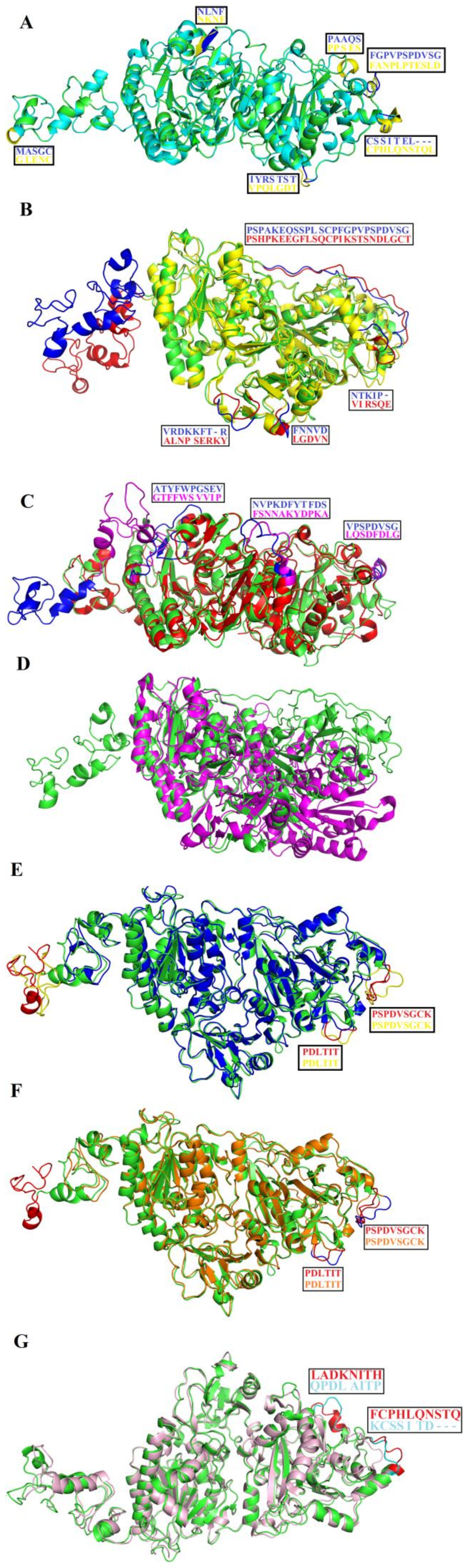 Toxins 11 00625 g008