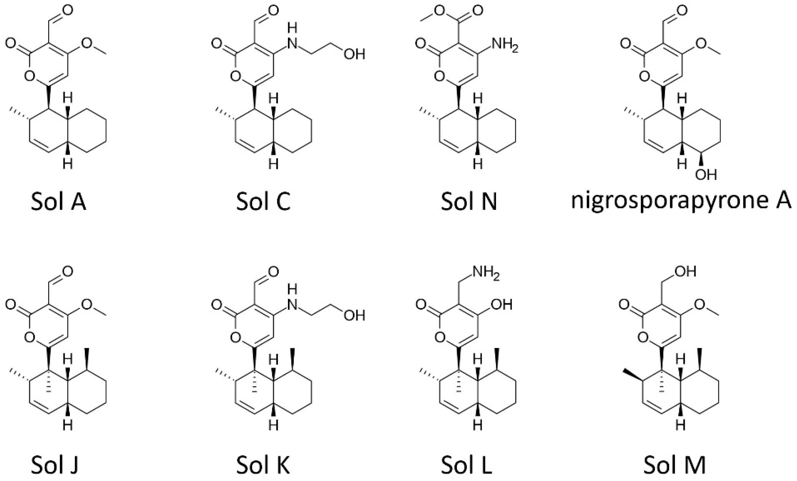 Toxins 11 00627 g003