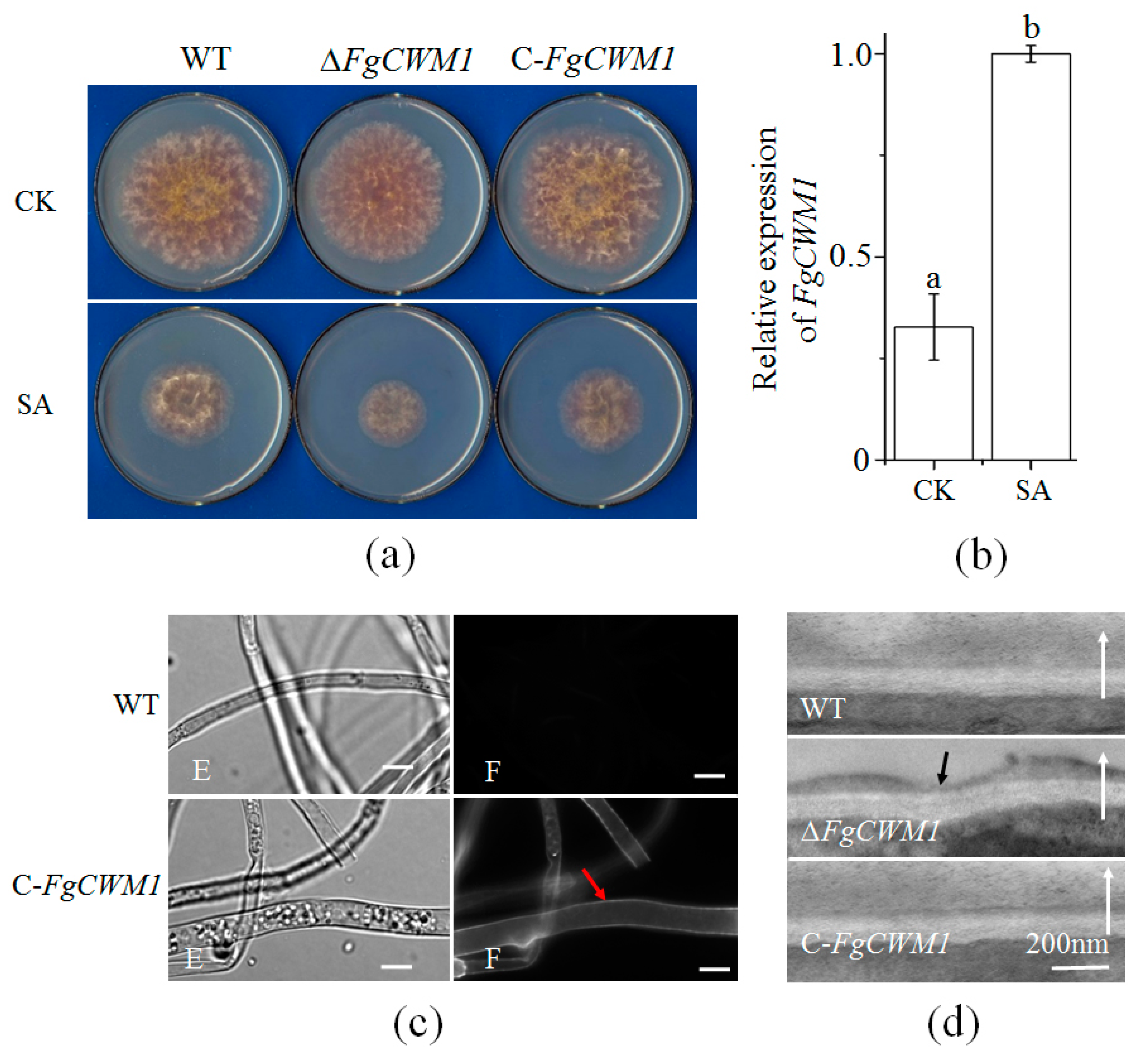Toxins 11 00628 g003 Toxins 11 00628 g003