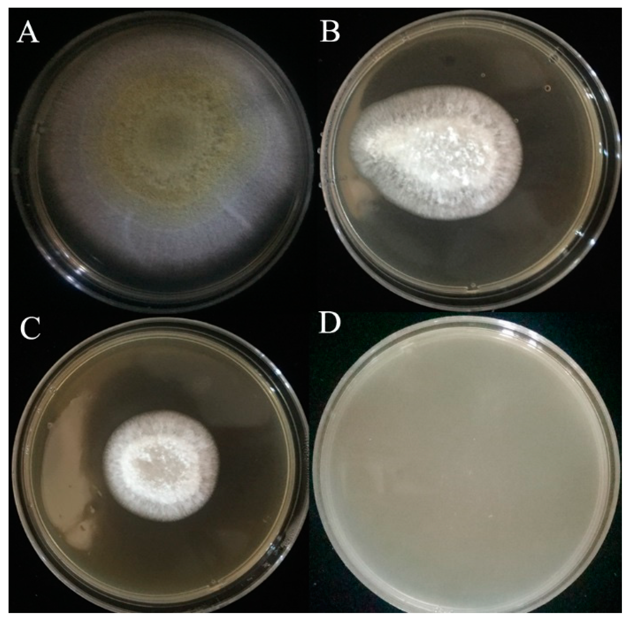 Toxins 11 00636 g002 Toxins 11 00636 g002