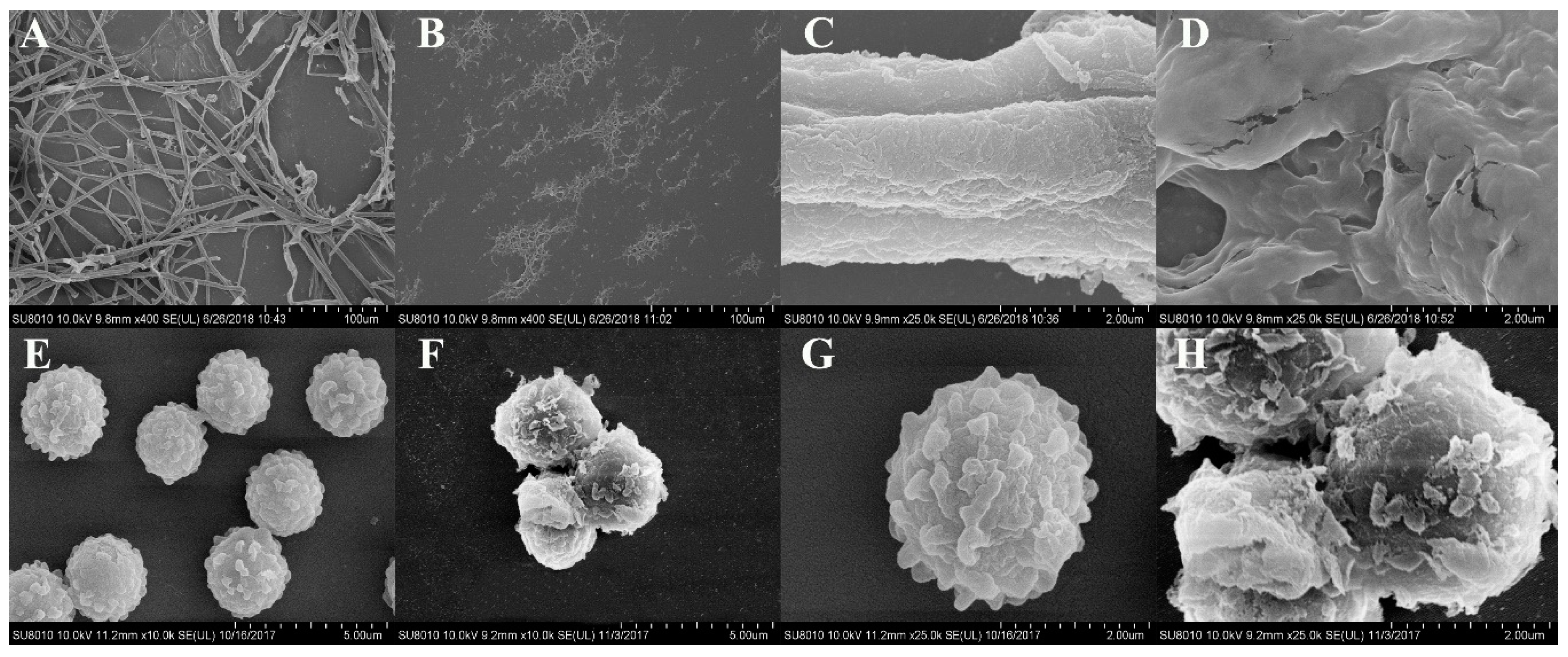Toxins 11 00636 g004 Toxins 11 00636 g004
