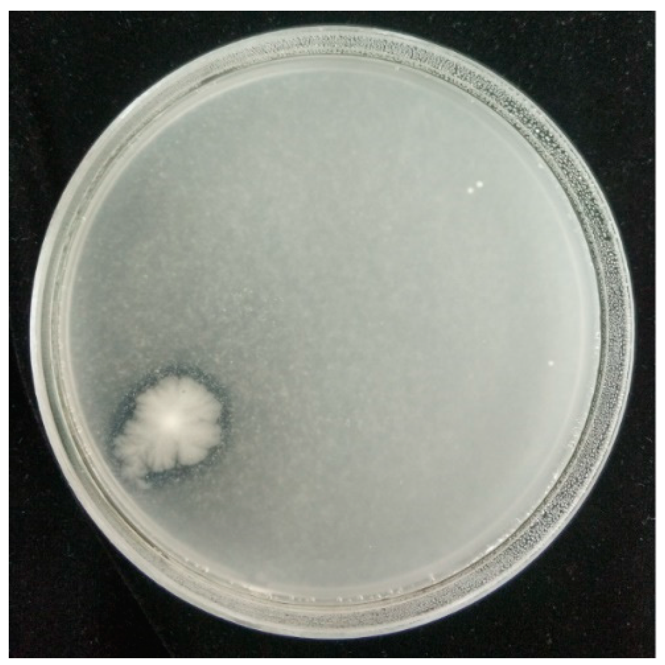 Toxins 11 00636 g005 Toxins 11 00636 g005