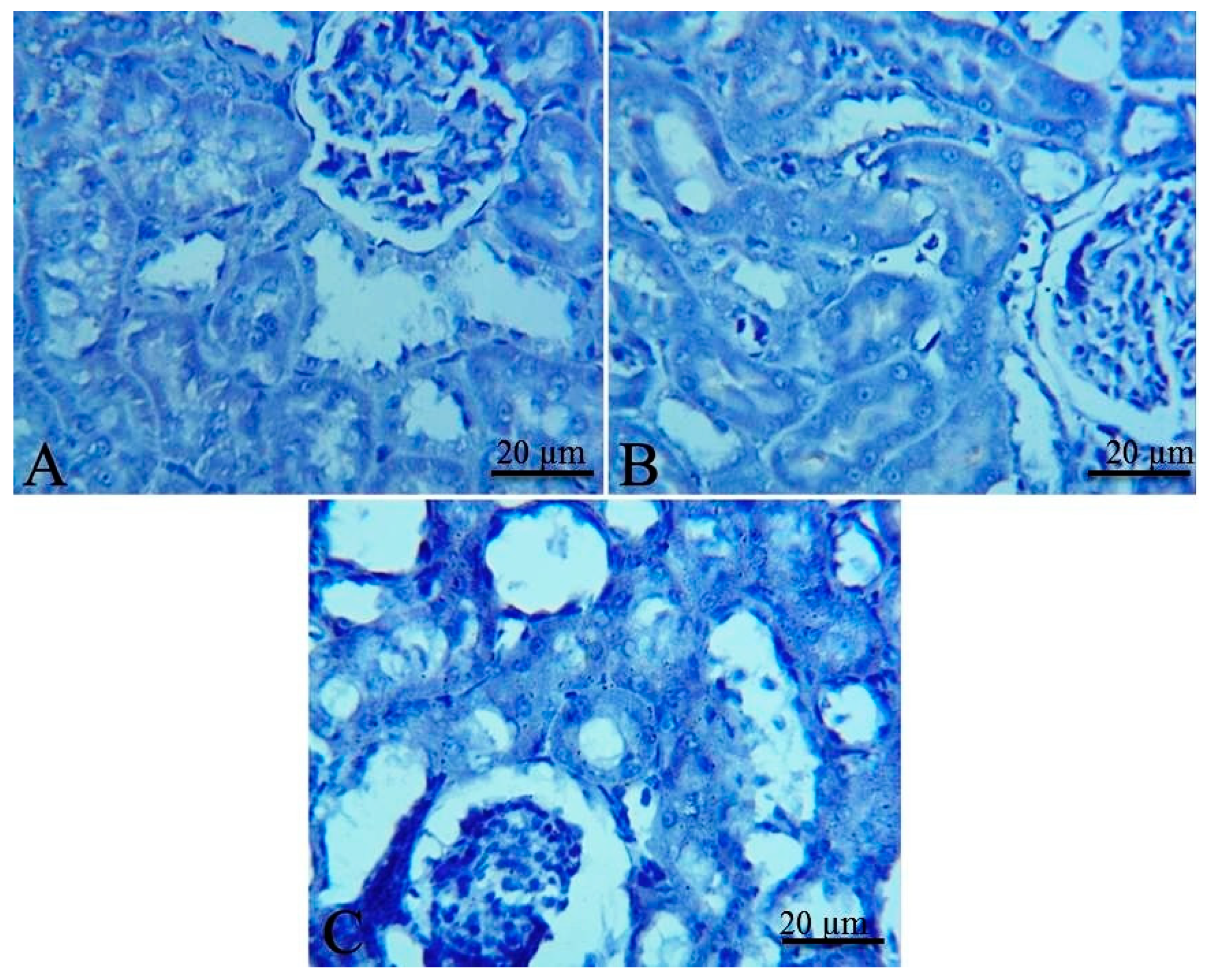Toxins 11 00642 g004