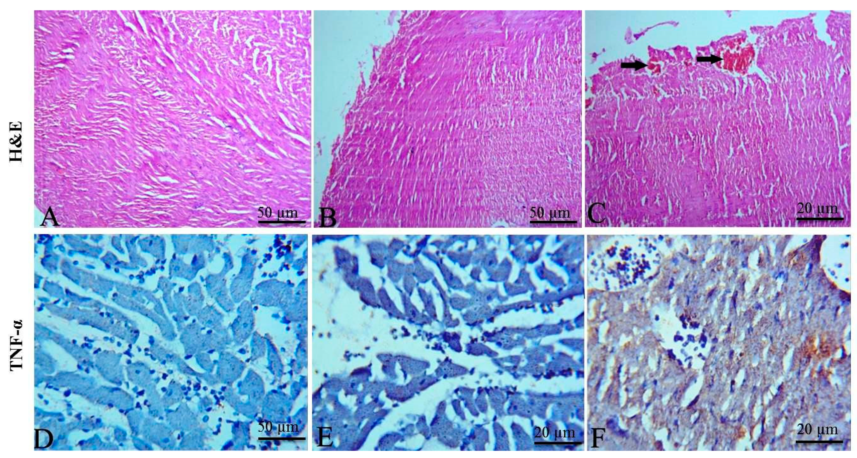 Toxins 11 00642 g005