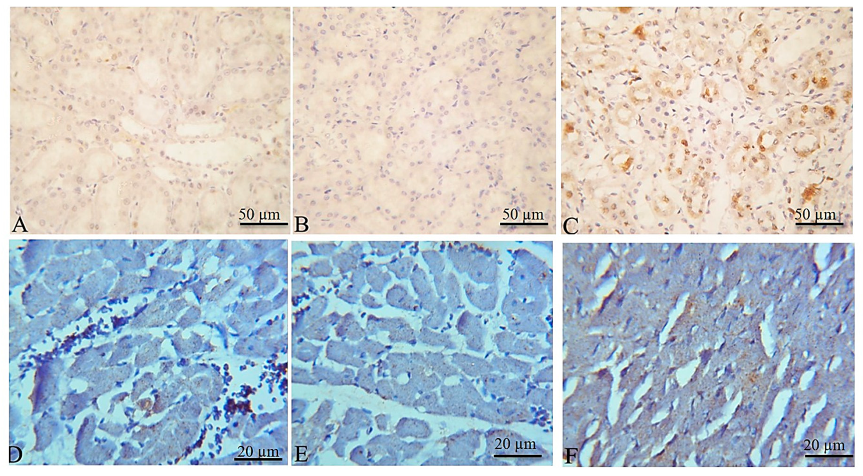 Toxins 11 00642 g006