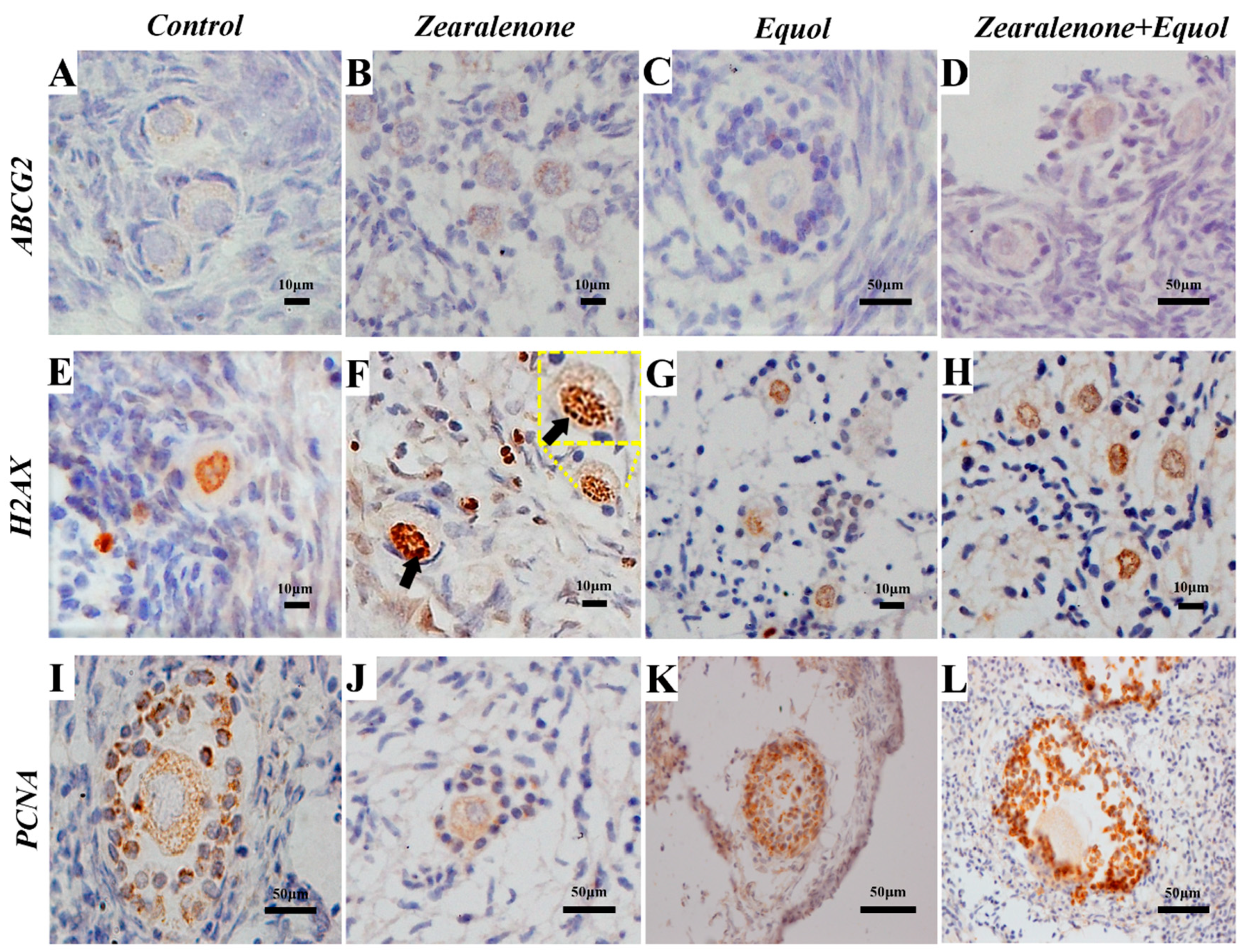 Toxins 11 00652 g003