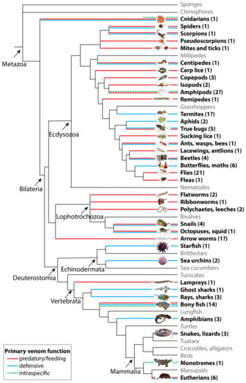 Does Size Matter? The Science of Scorpion Stings - MDPI Blog