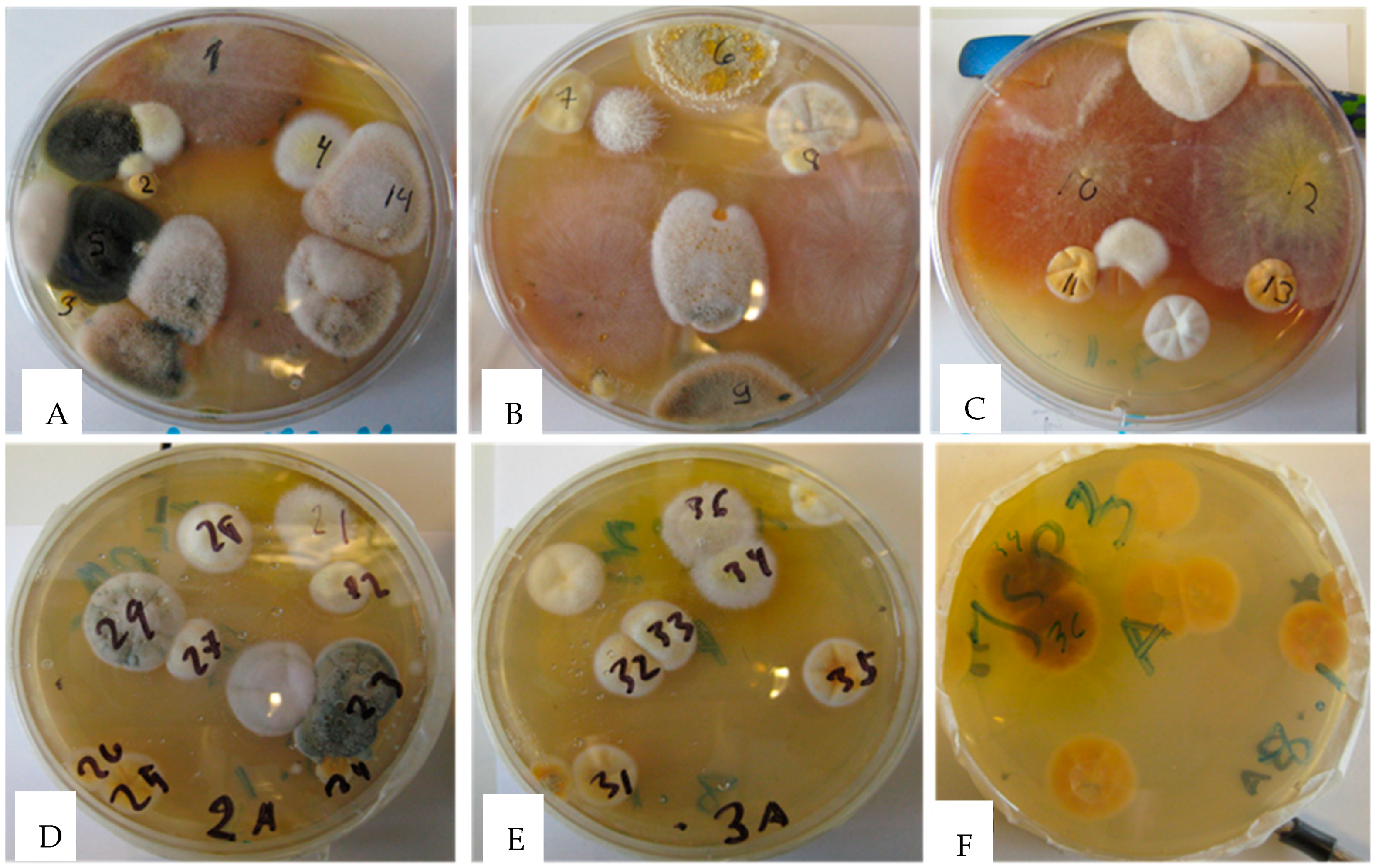 Toxins 11 00683 g001 Toxins 11 00683 g001