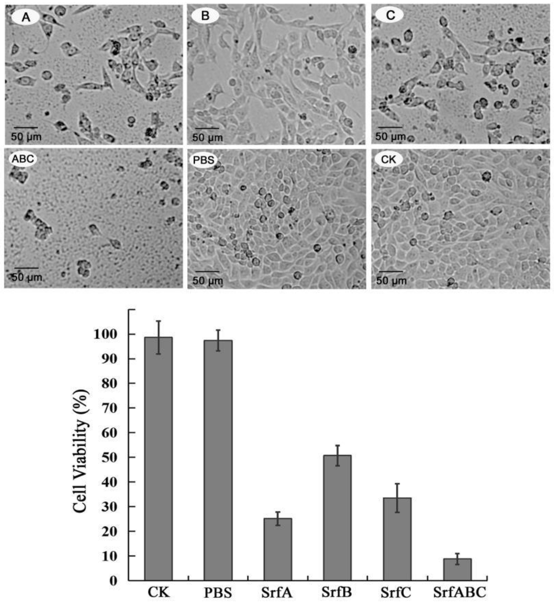 Toxins 11 00685 g003