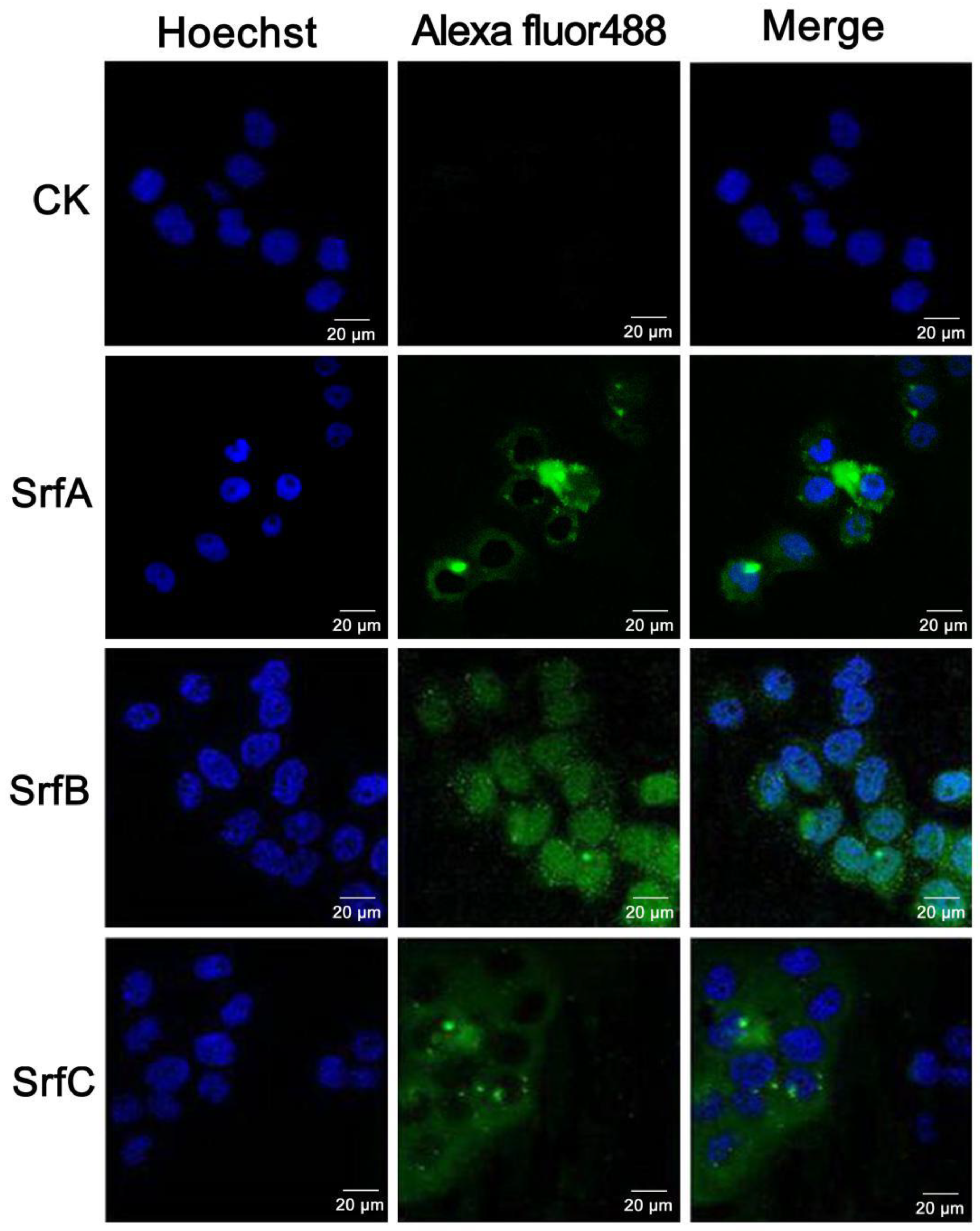 Toxins 11 00685 g005