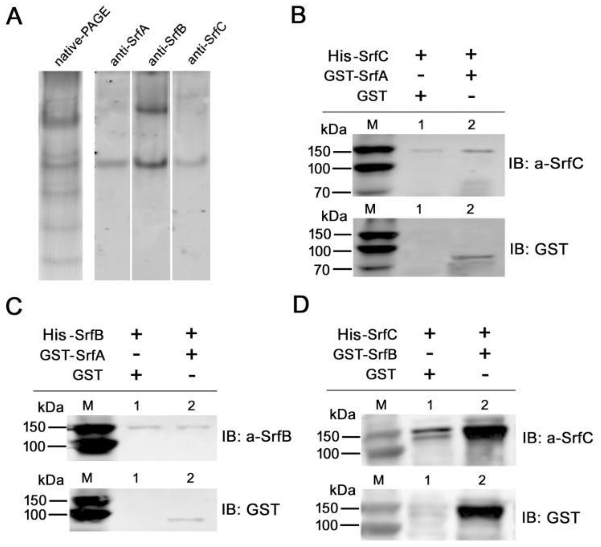 Toxins 11 00685 g007