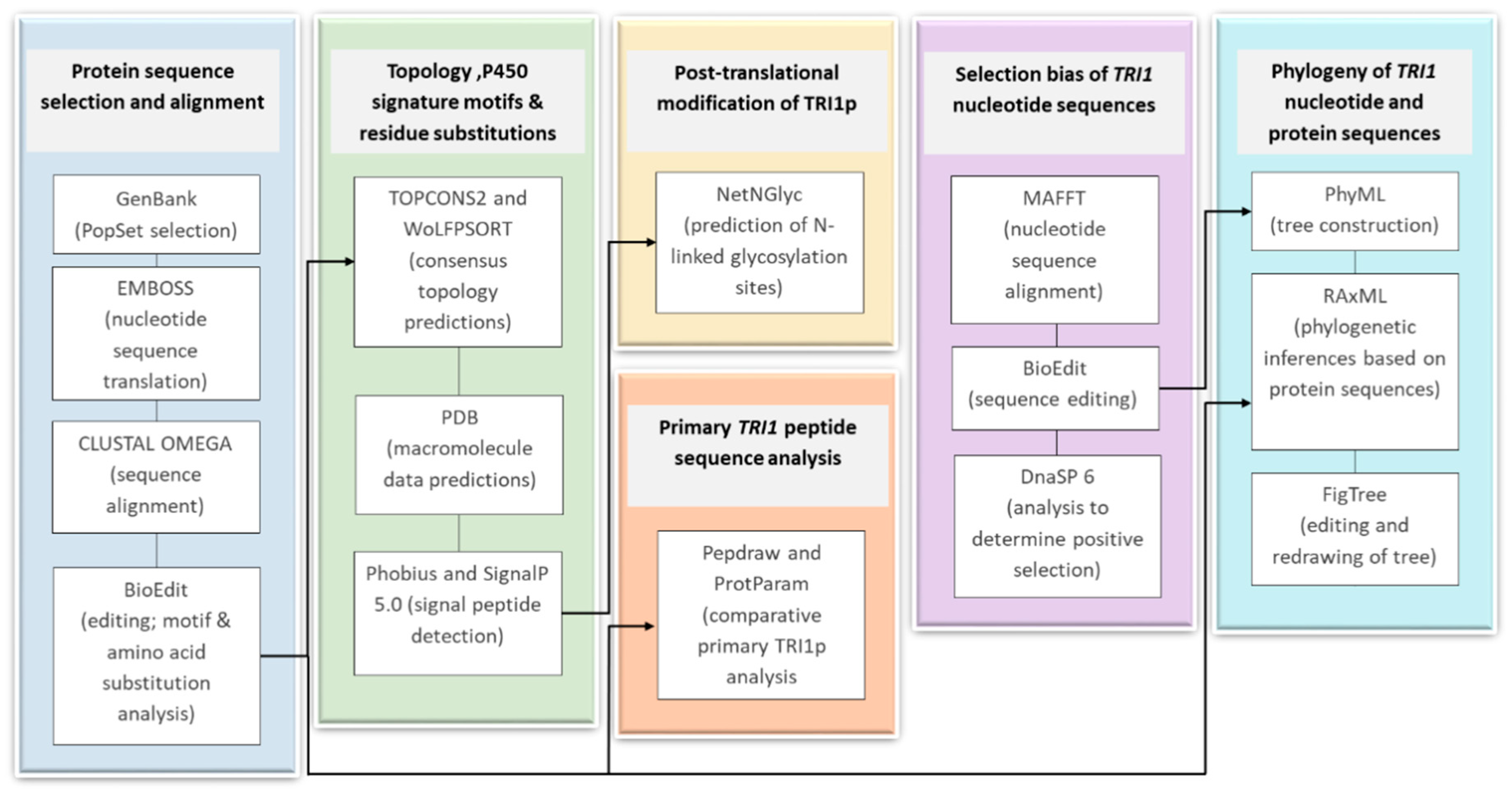 bioedit make a tree