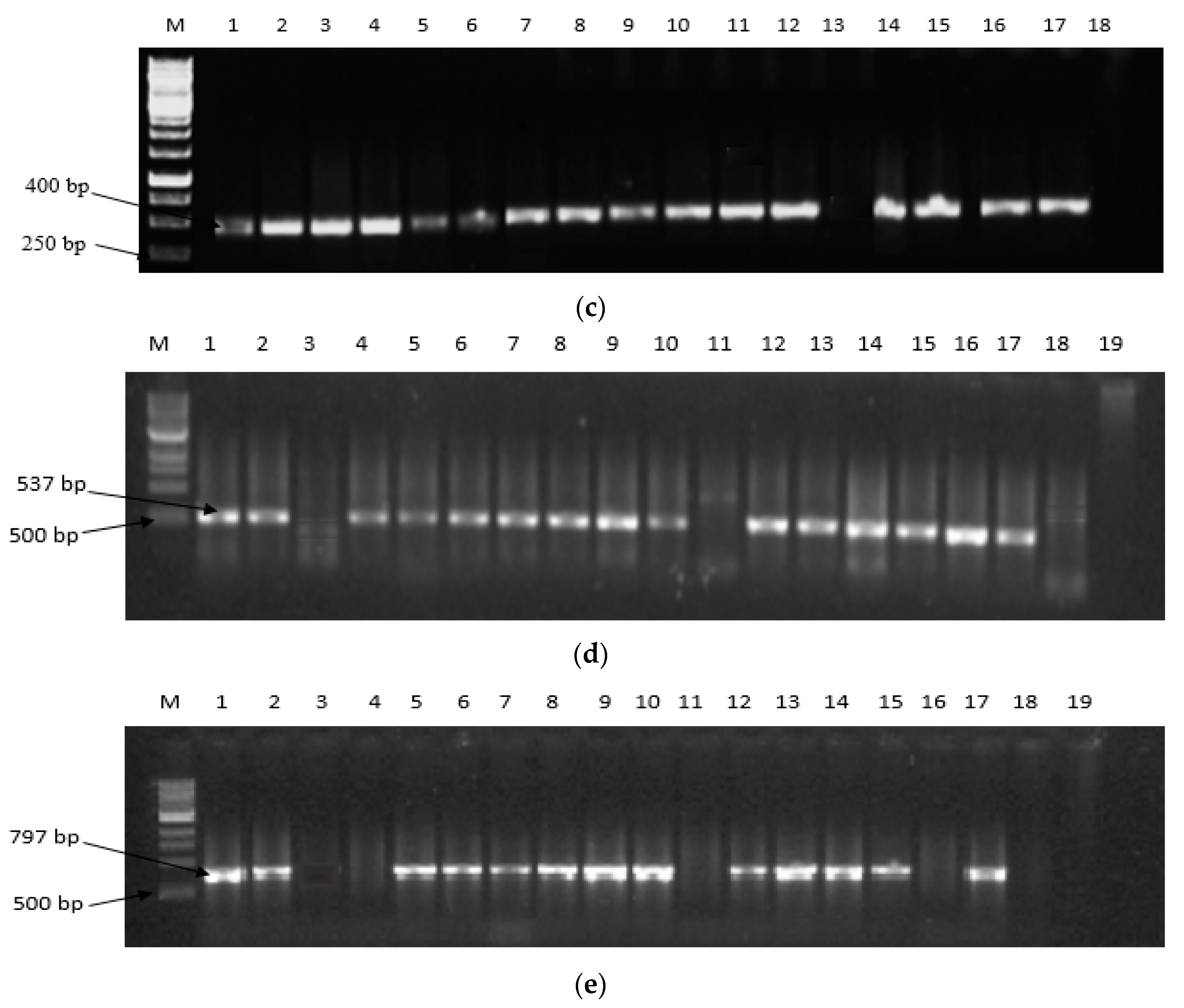 Toxins 11 00692 g003b