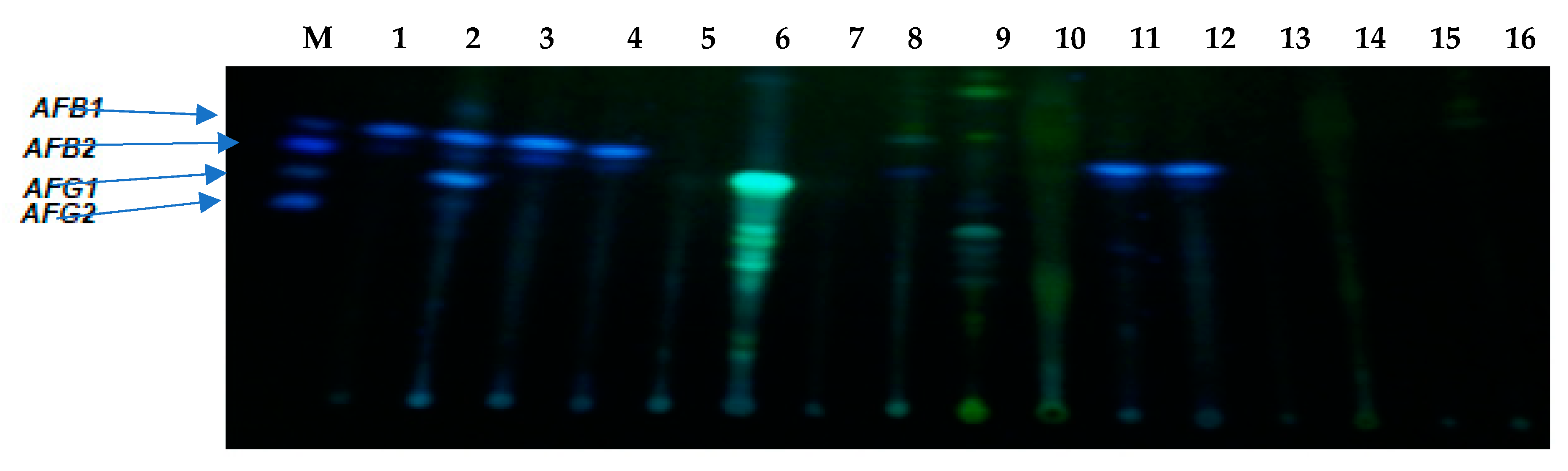 Toxins 11 00692 g005