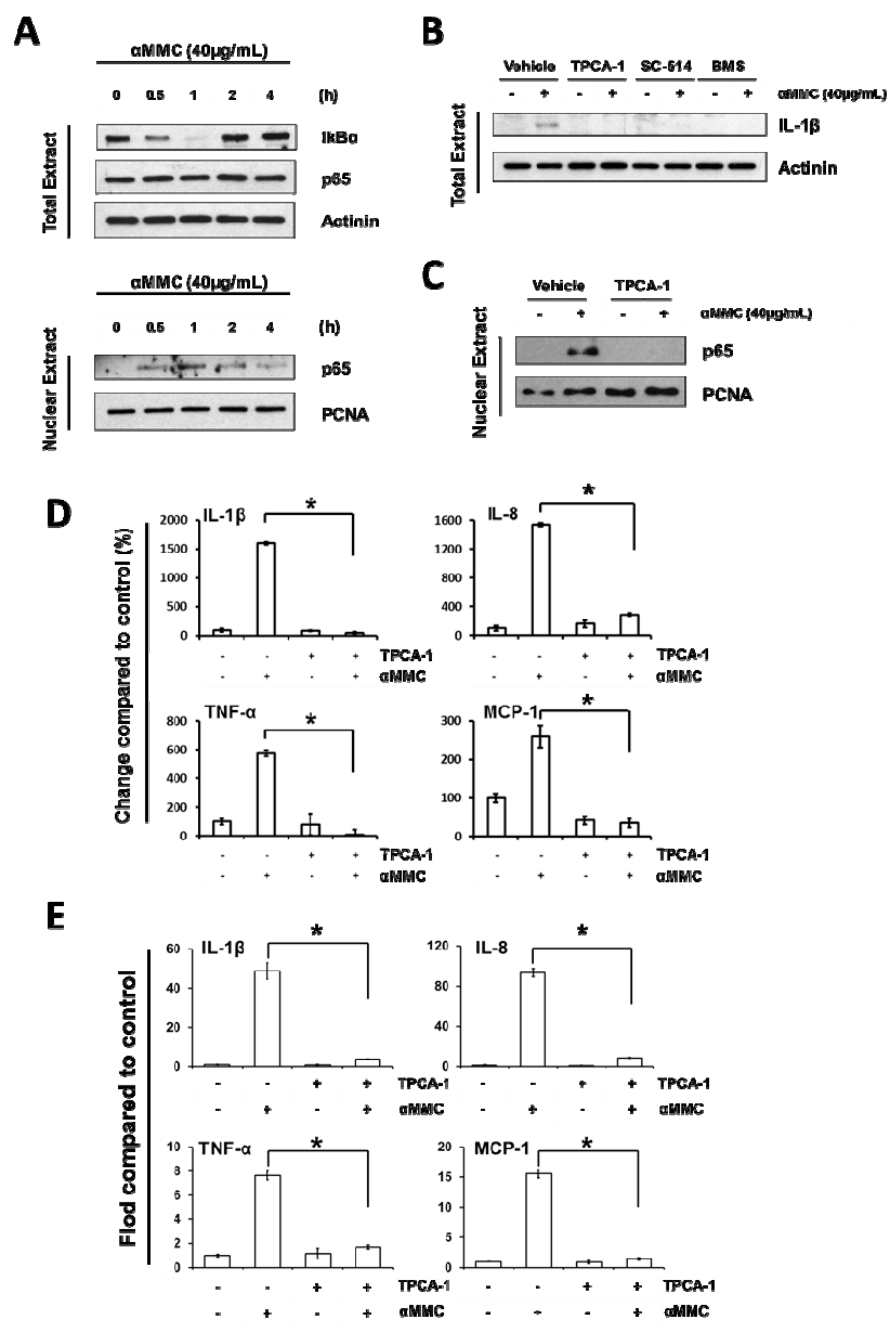 Toxins 11 00694 g003 Toxins 11 00694 g003