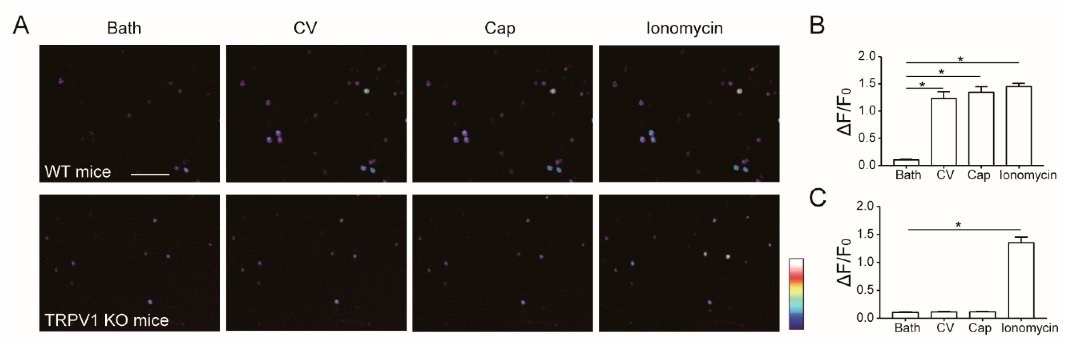 Toxins 11 00695 g003