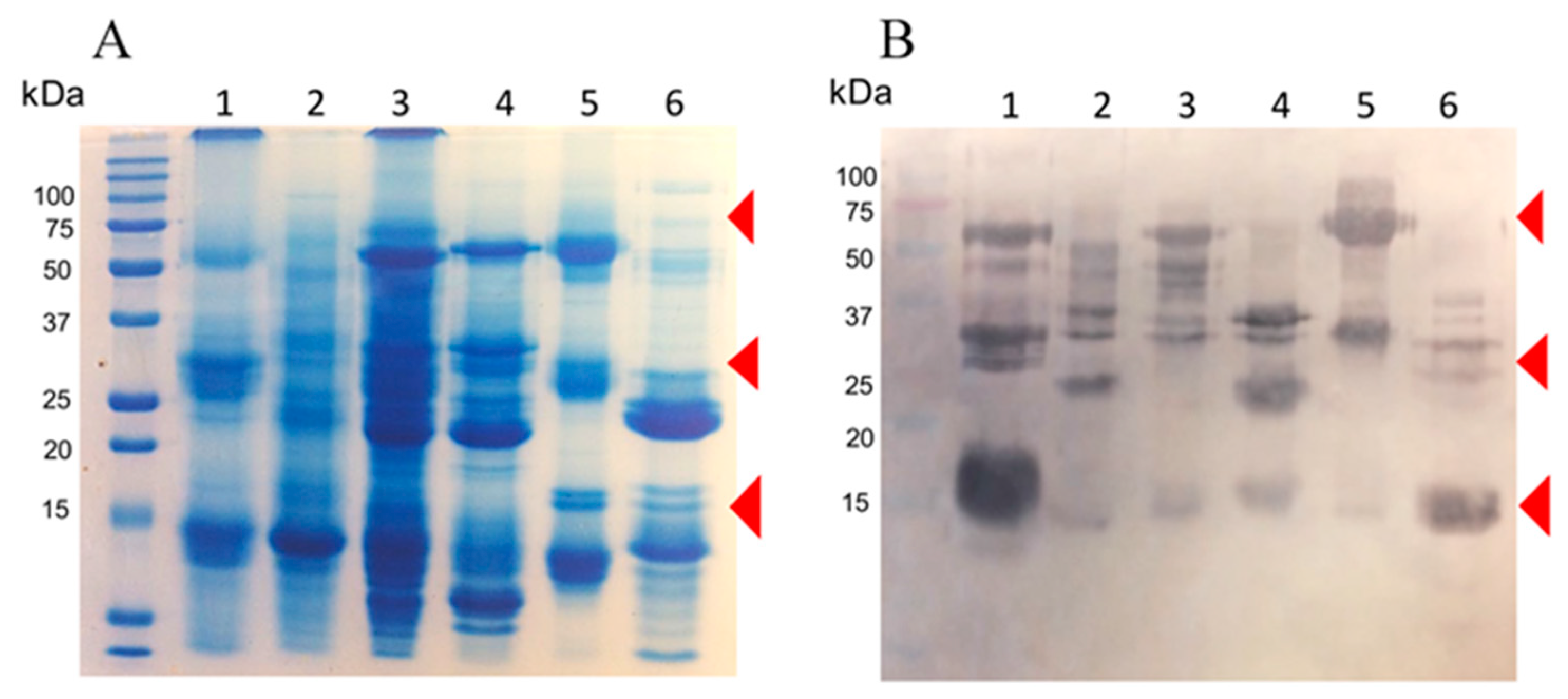 Toxins 11 00702 g003 Toxins 11 00702 g003