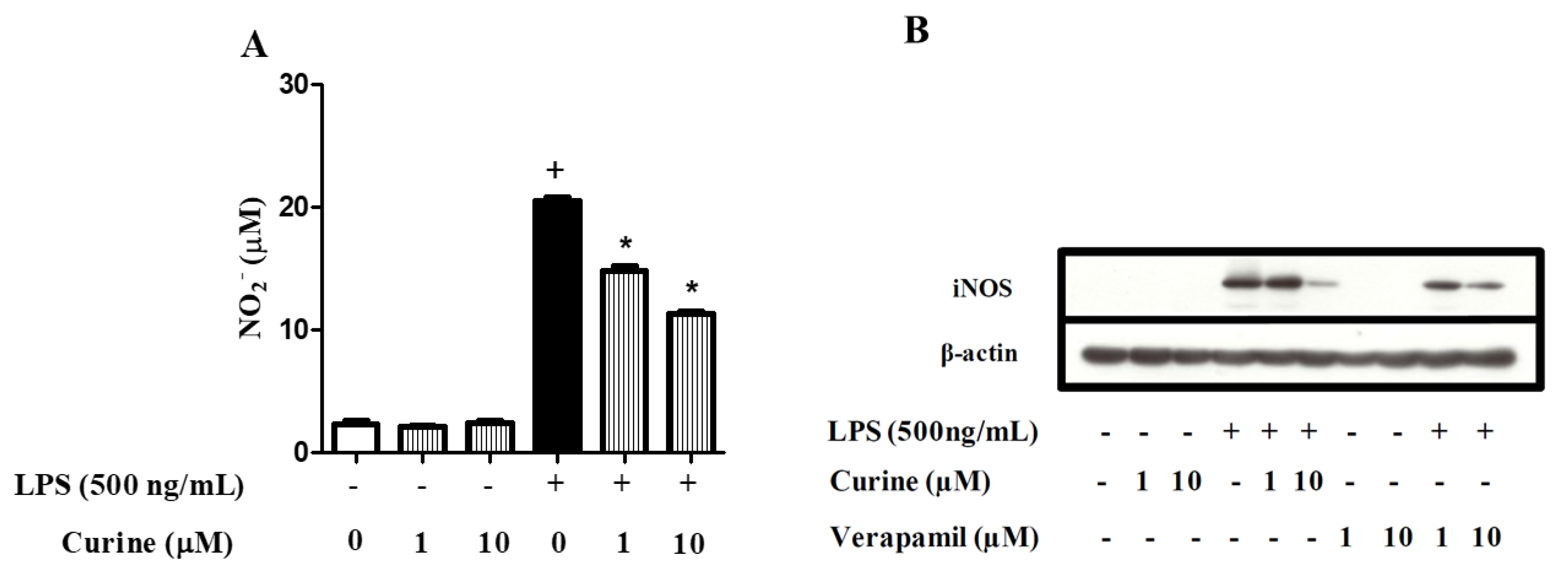 Toxins 11 00705 g005