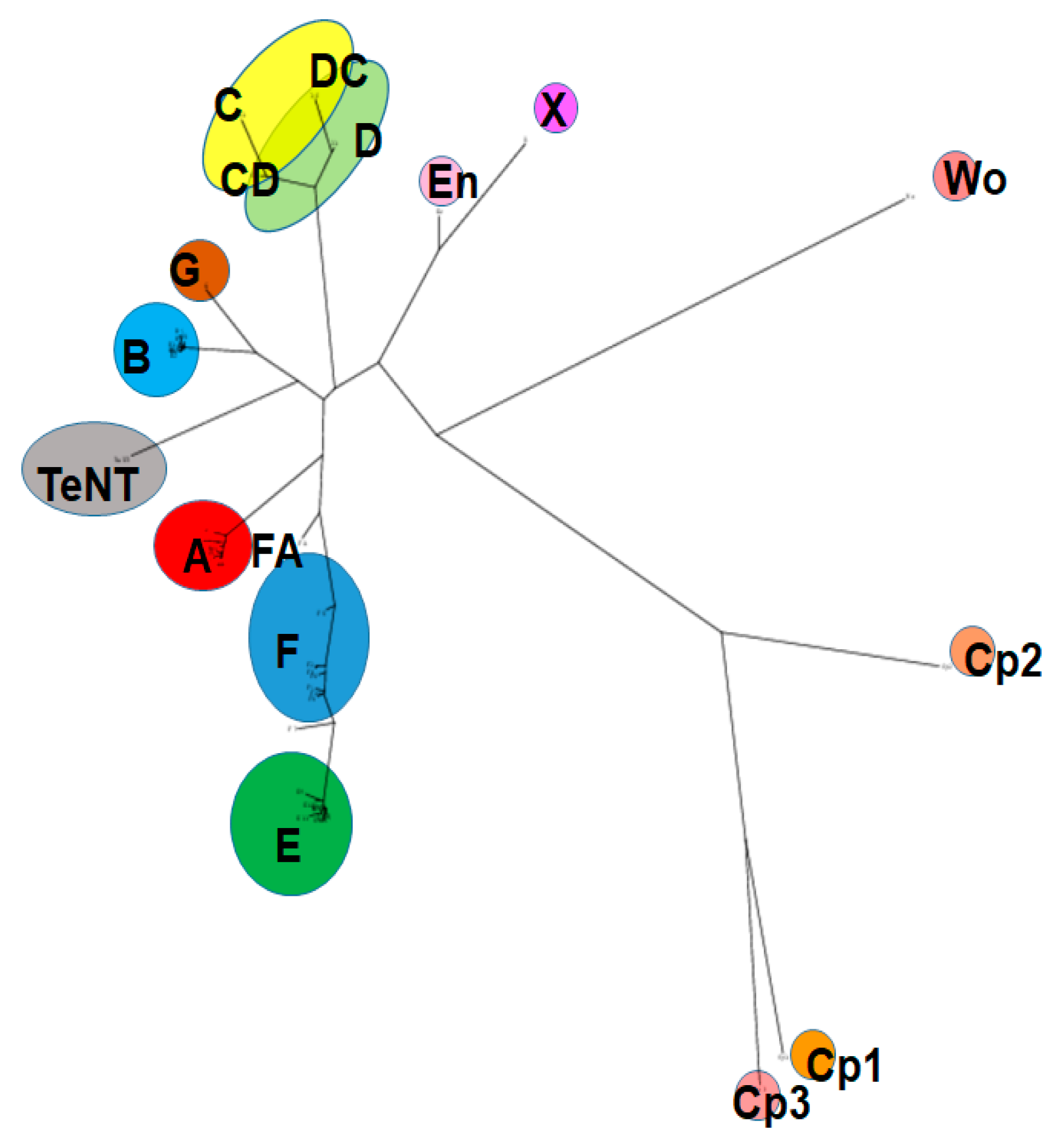 Toxins 11 00713 g001