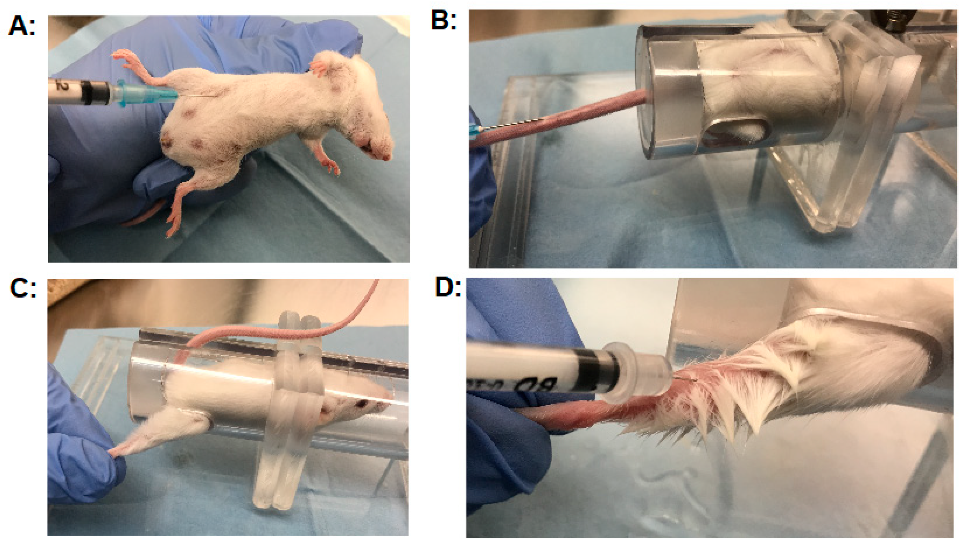Botulinum toxin research paper