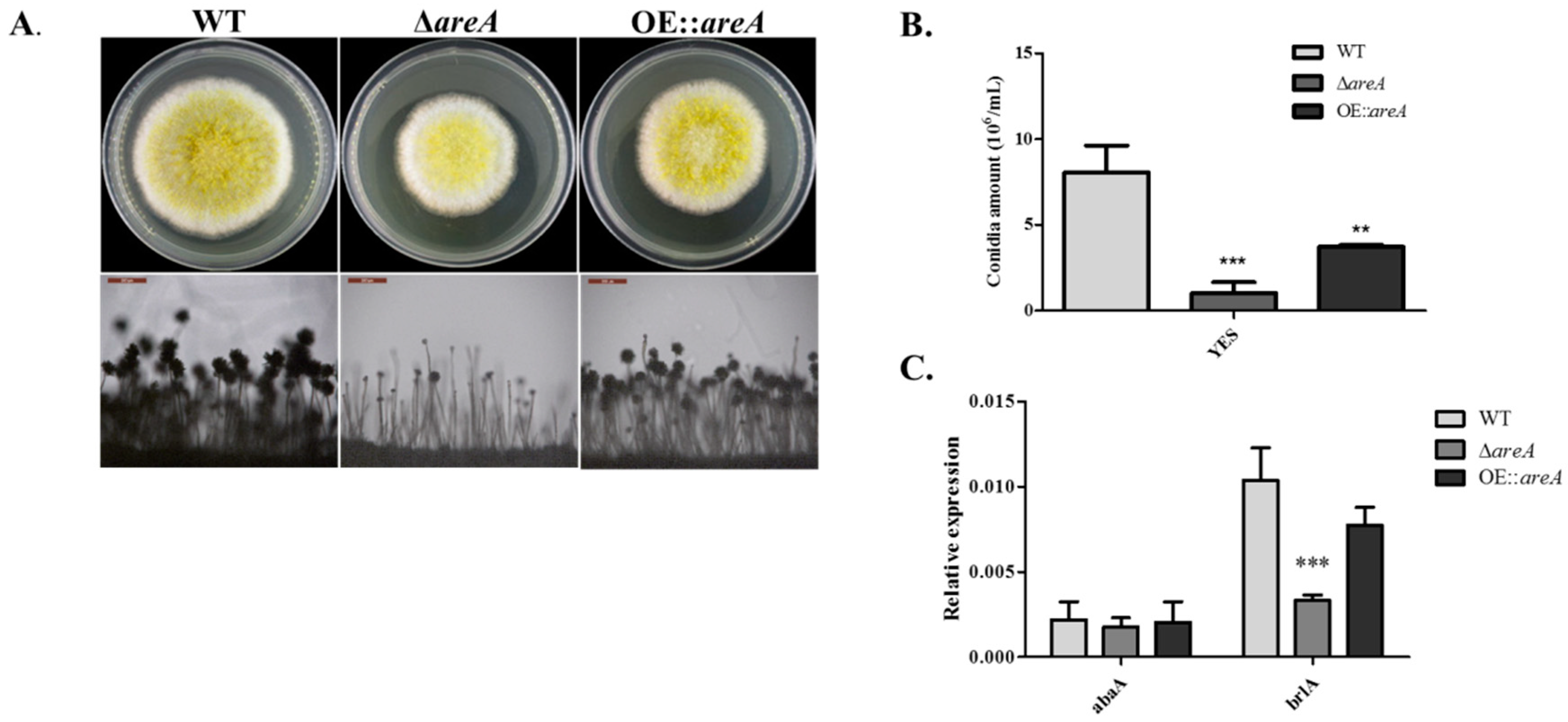 Toxins 11 00718 g004 Toxins 11 00718 g004