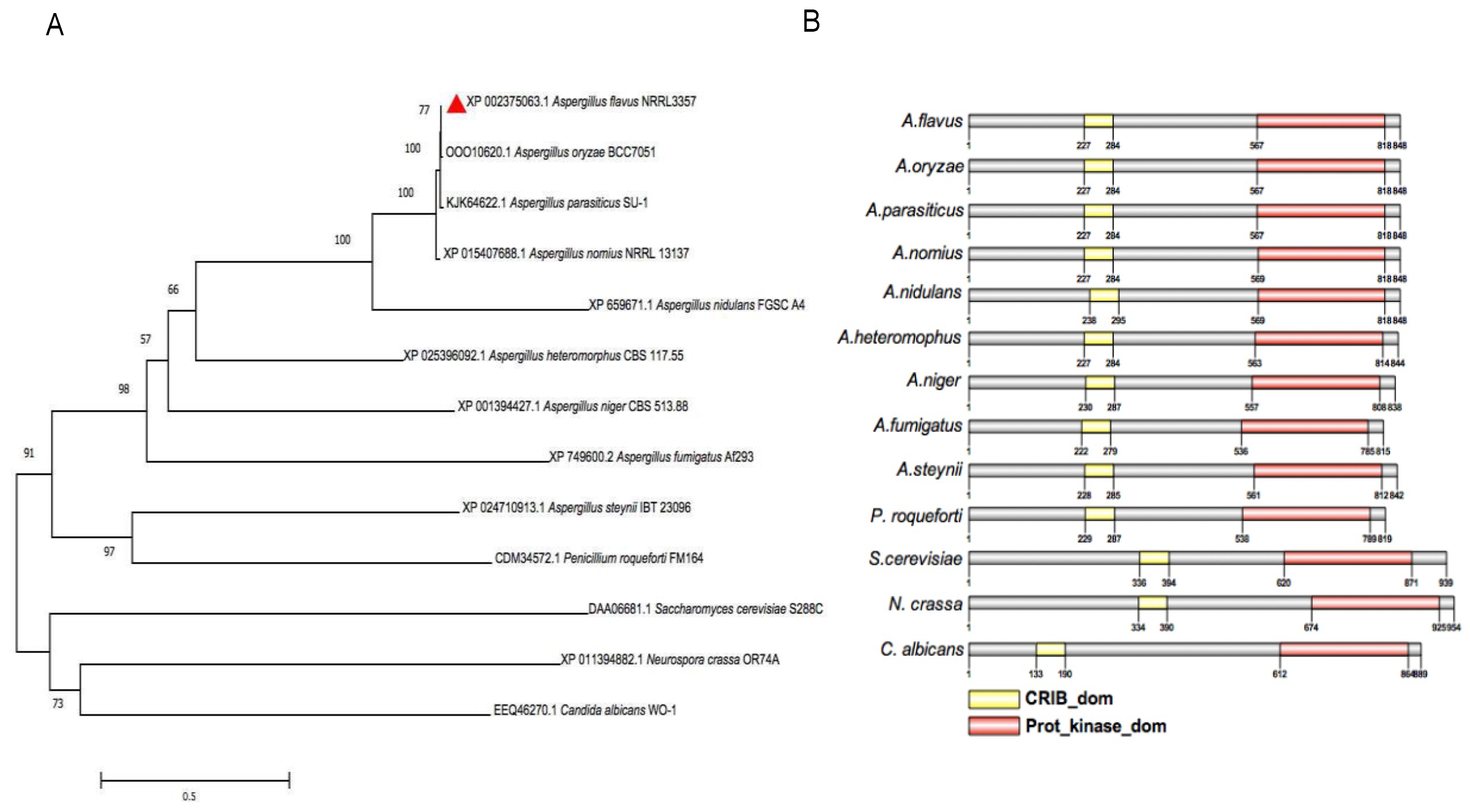 Toxins 11 00730 g001 Toxins 11 00730 g001