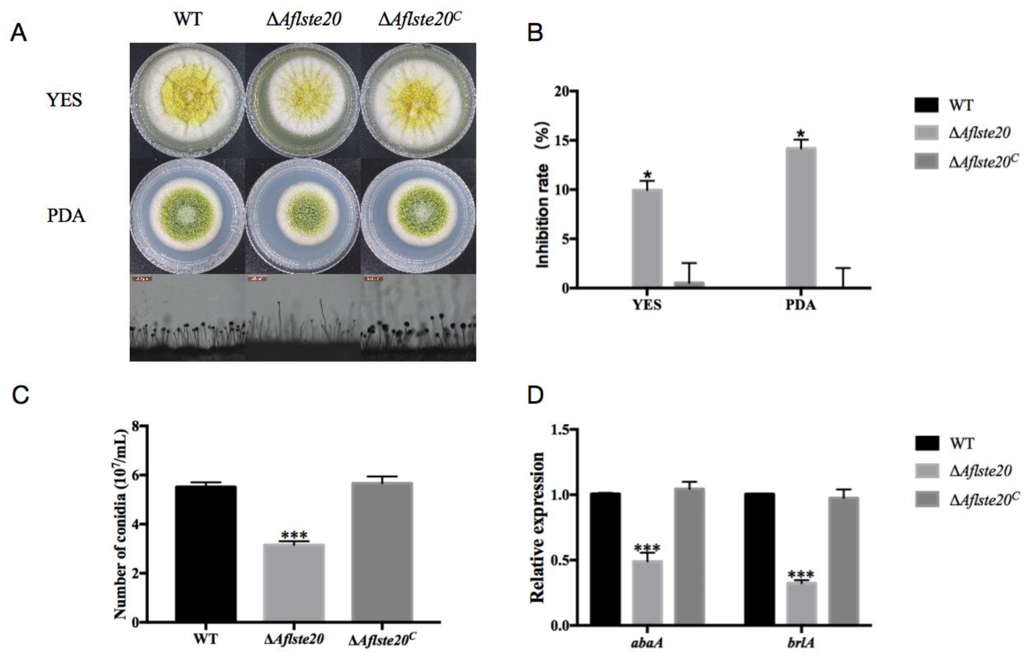Toxins 11 00730 g002 Toxins 11 00730 g002