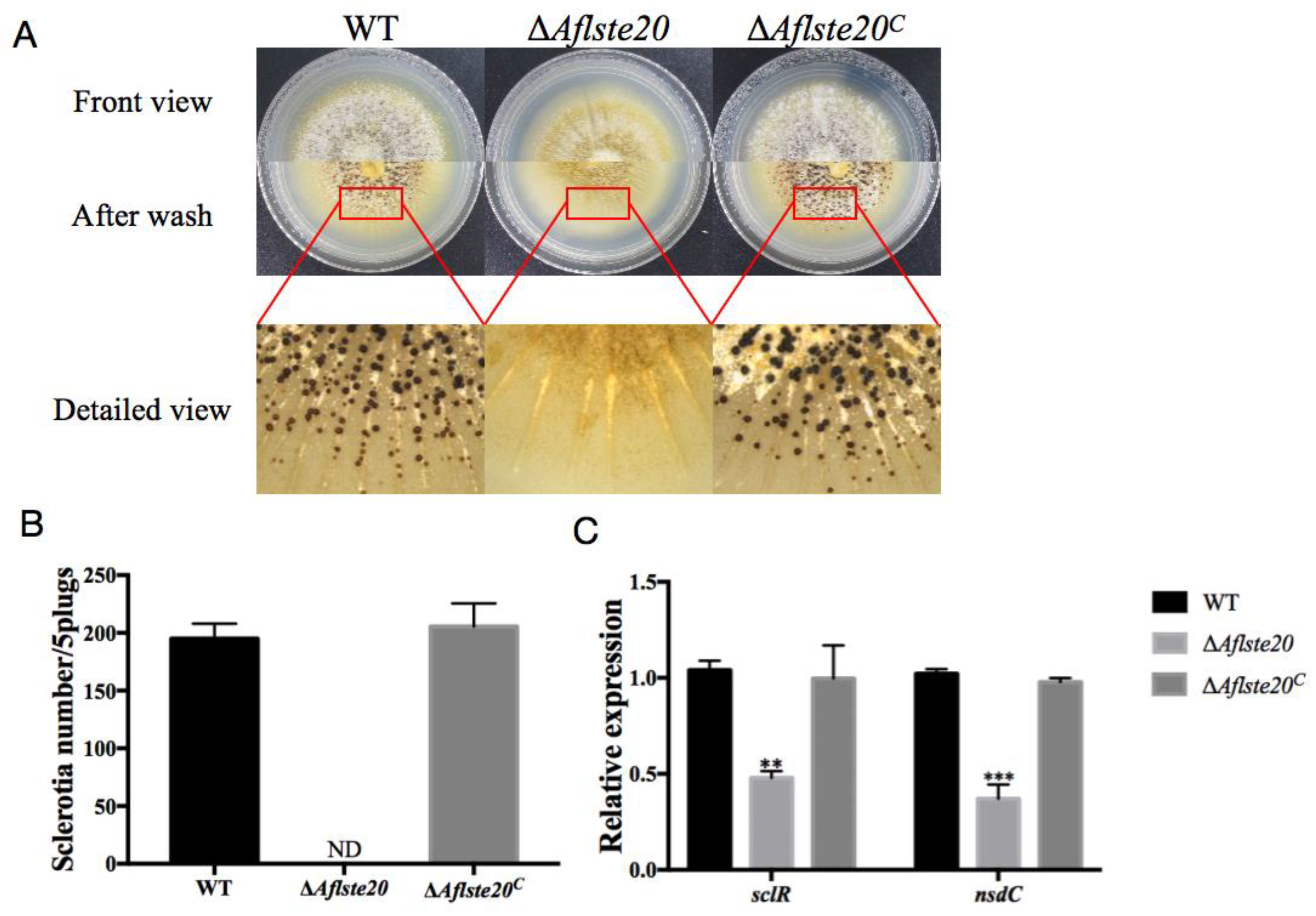 Toxins 11 00730 g003 Toxins 11 00730 g003