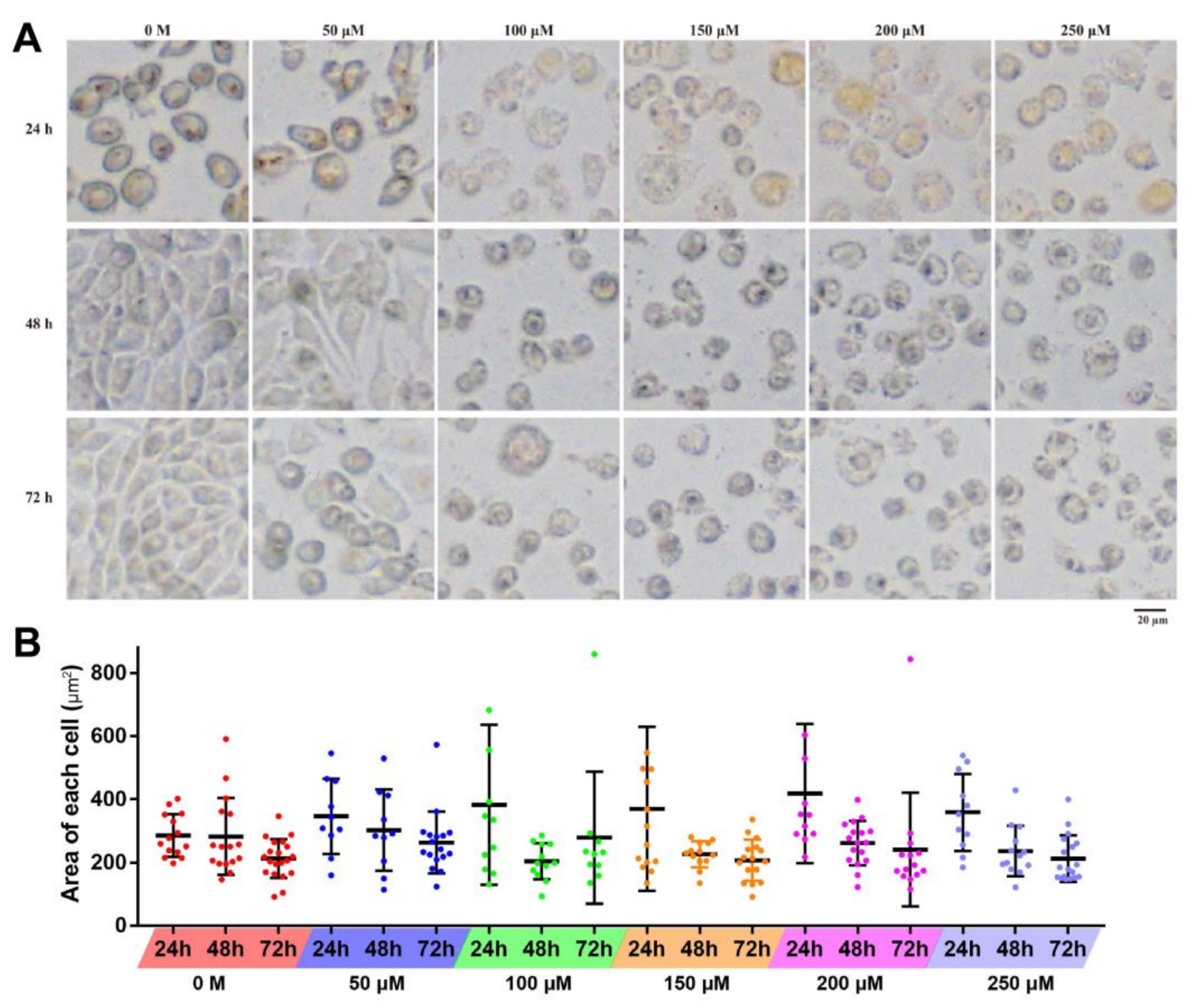 Toxins Free Full Text The Cytotoxicity Effect Of Resveratrol Cell Cycle Arrest And Induced Apoptosis Of Breast Cancer 4t1 Cells Html