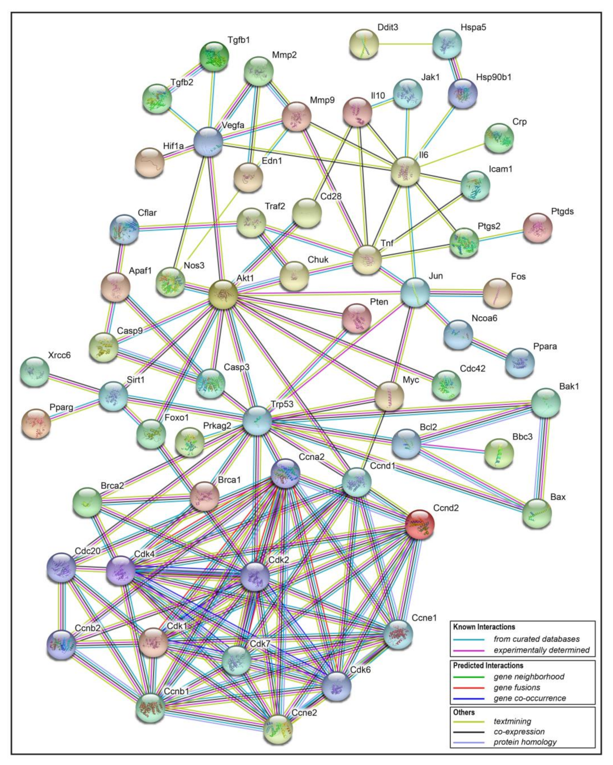 Toxins 11 00731 g010 Toxins 11 00731 g010