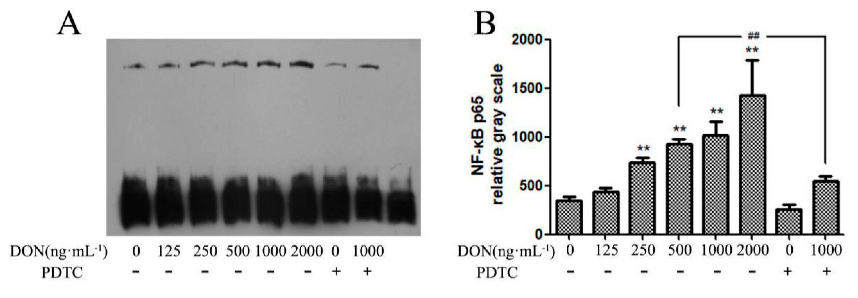 Toxins 11 00733 g007 Toxins 11 00733 g007