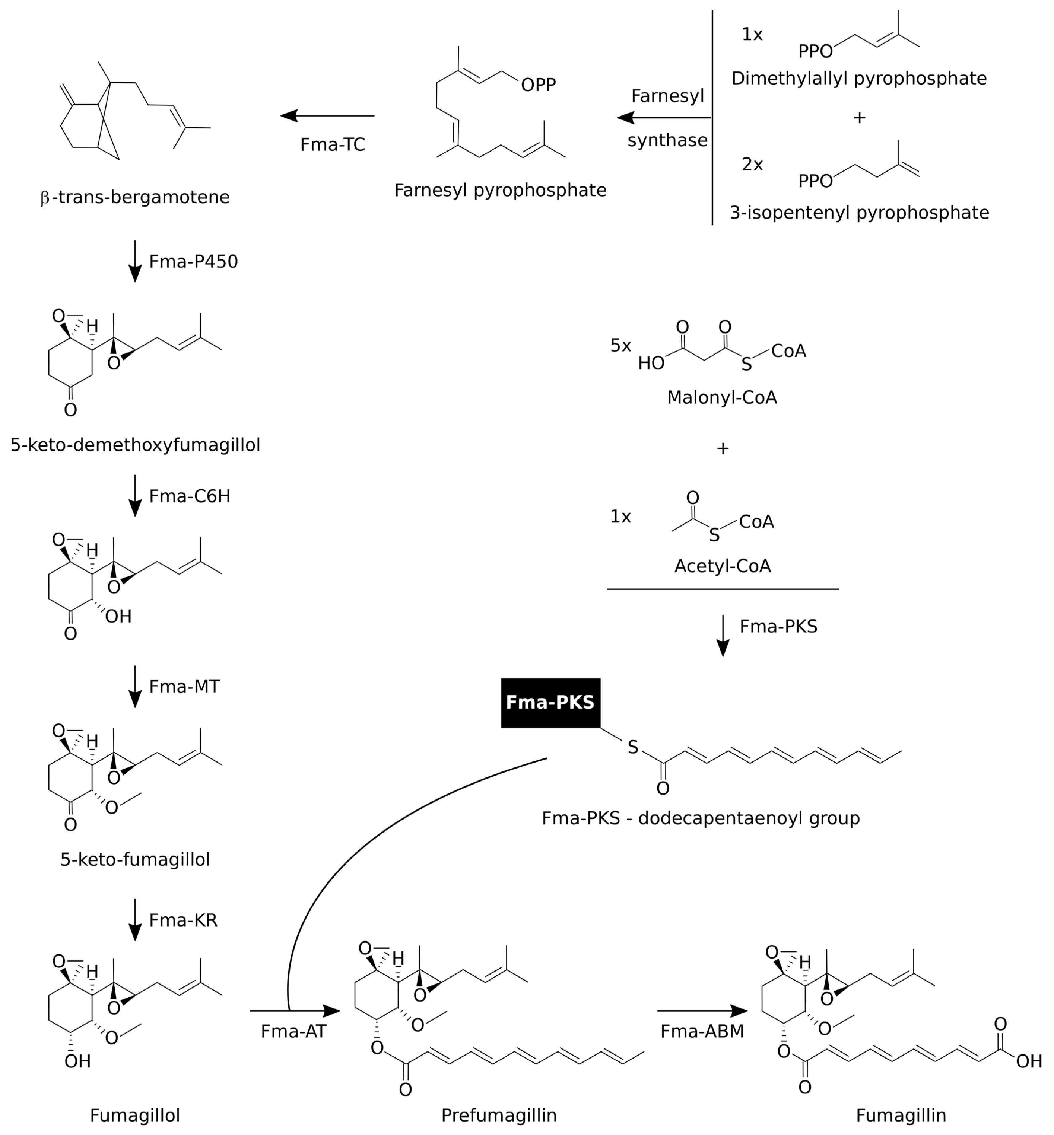Toxins 12 00007 g004