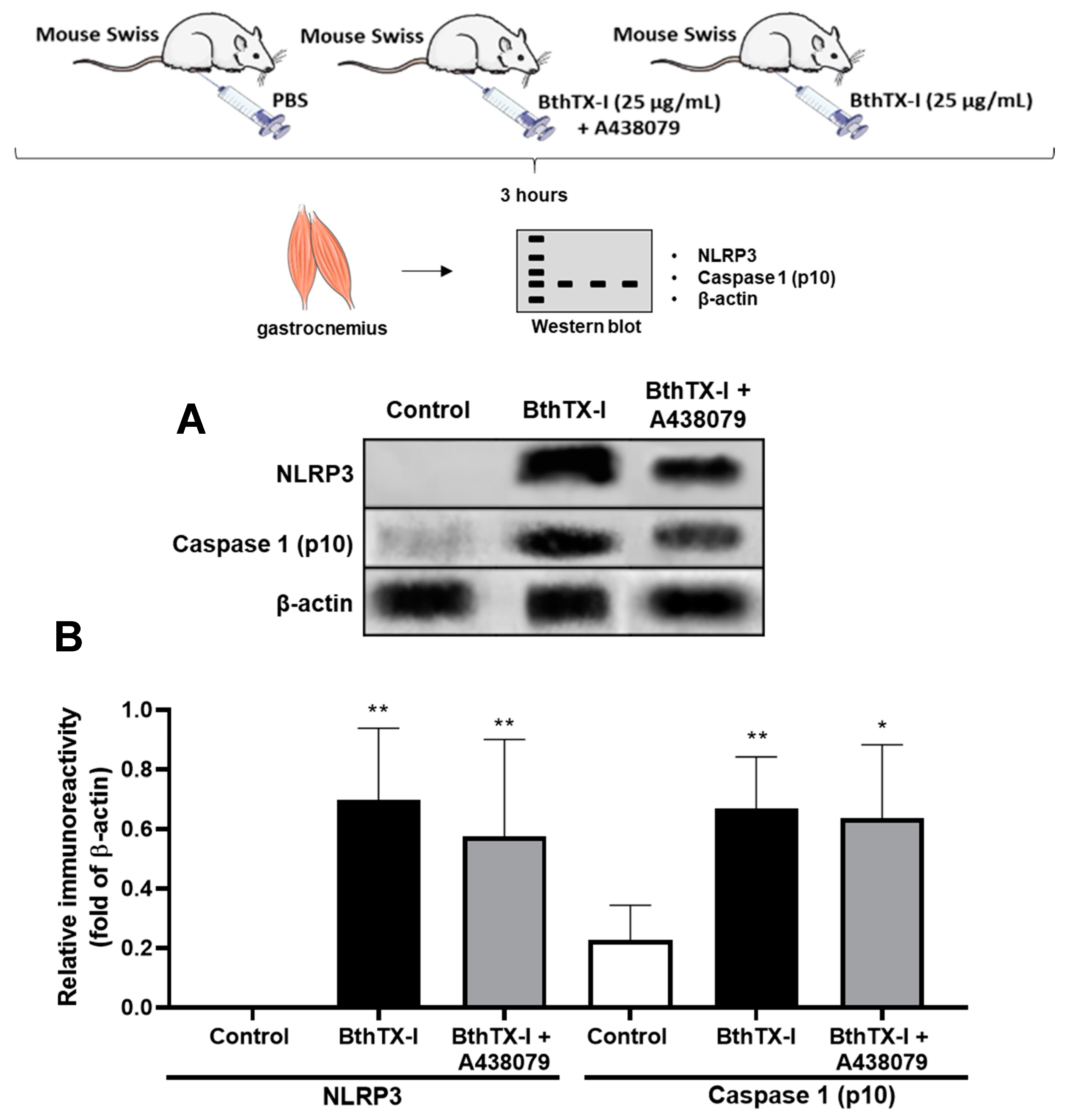 Toxins 12 00022 g004 Toxins 12 00022 g004