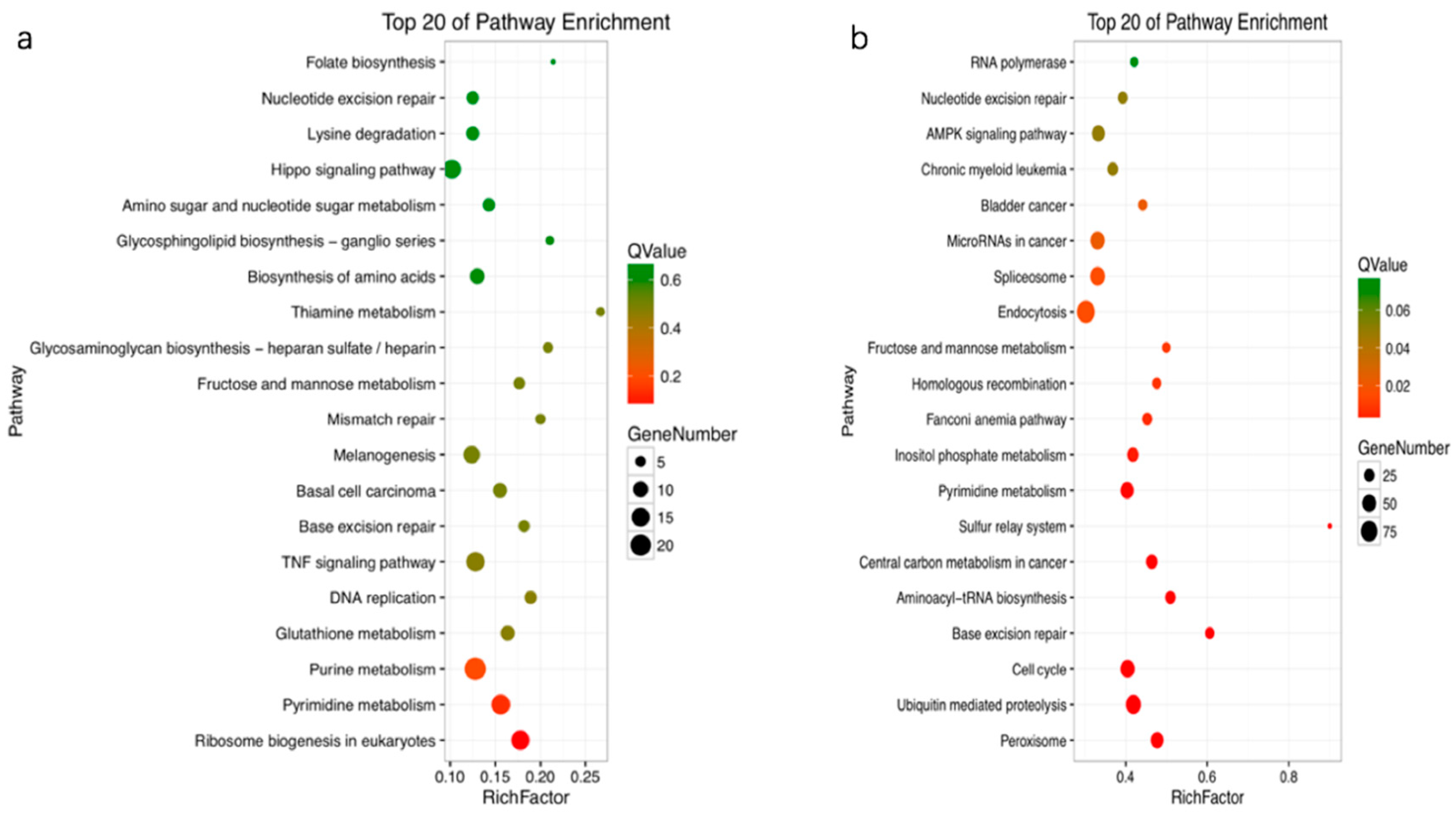 Toxins 12 00023 g004 Toxins 12 00023 g004