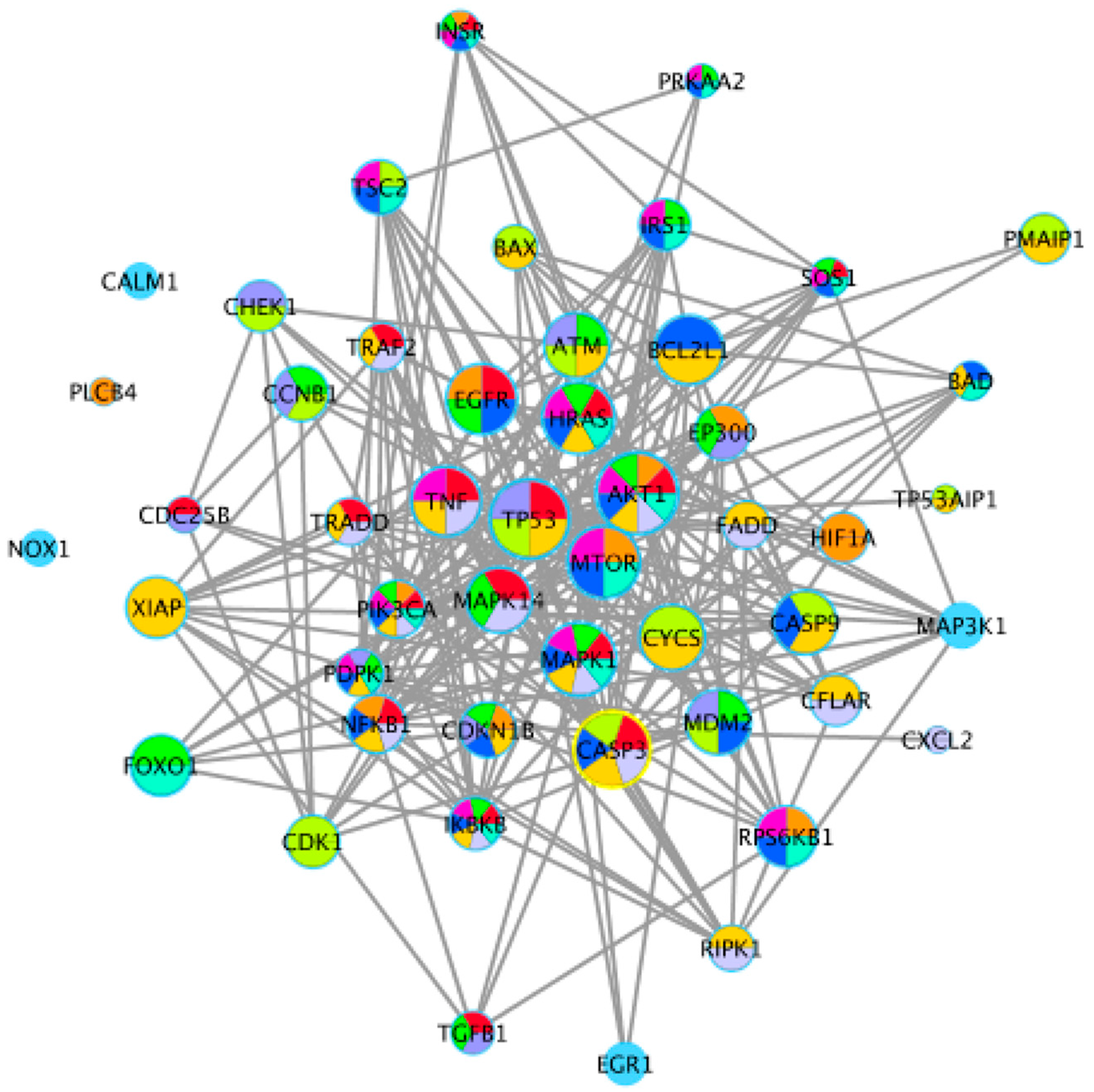 Toxins 12 00023 g005 Toxins 12 00023 g005