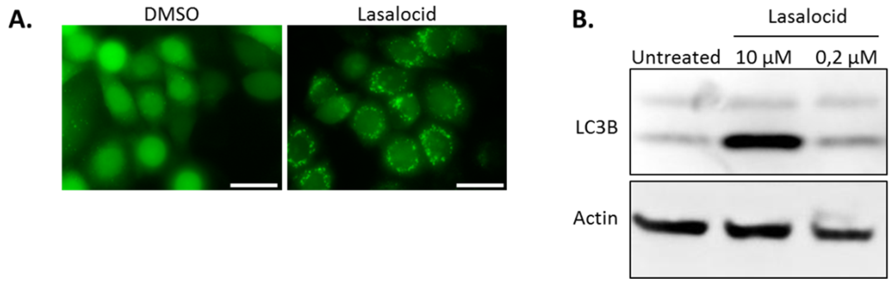 Toxins 12 00026 g007 Toxins 12 00026 g007