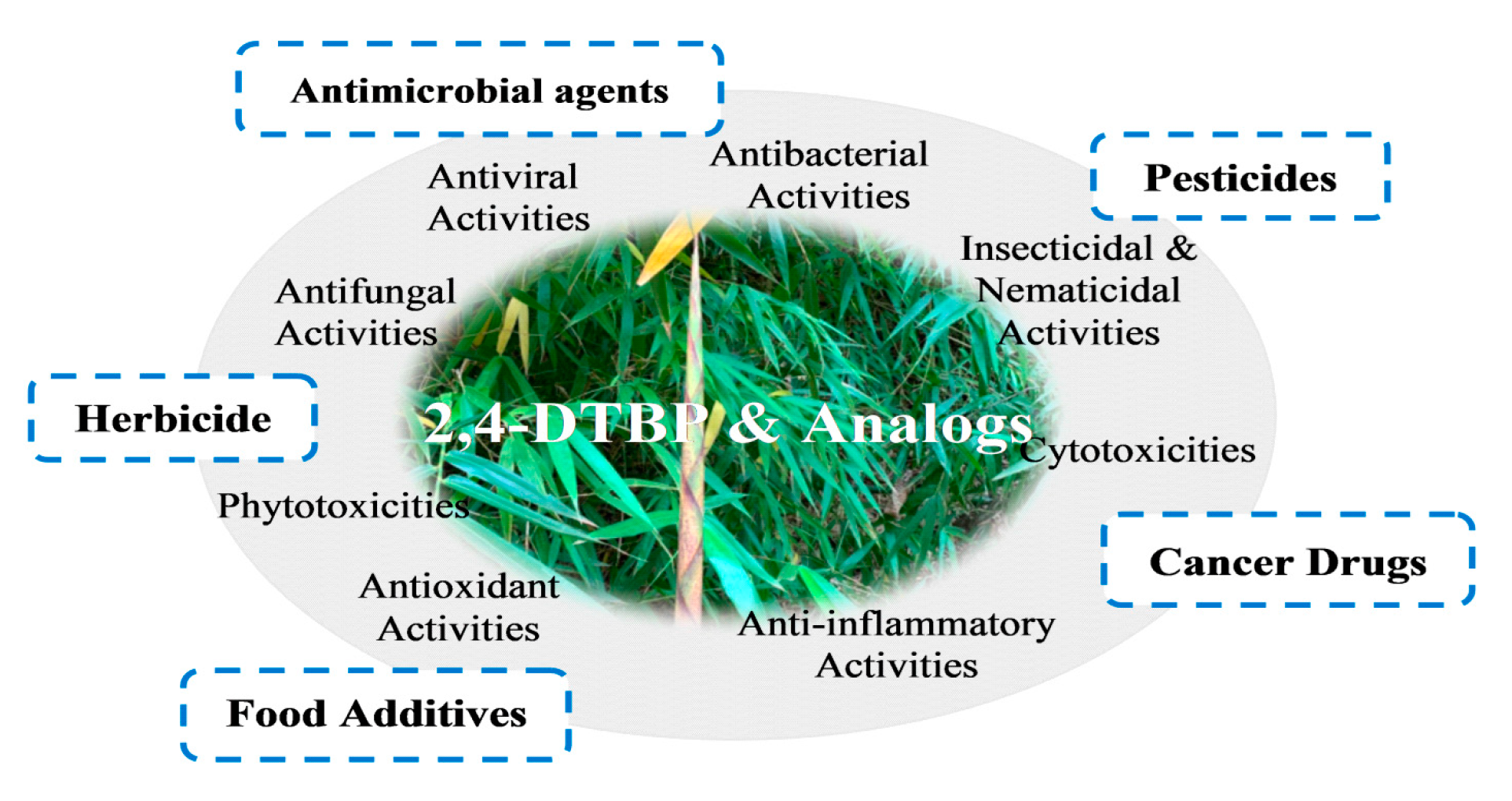 Toxins 12 00035 g002